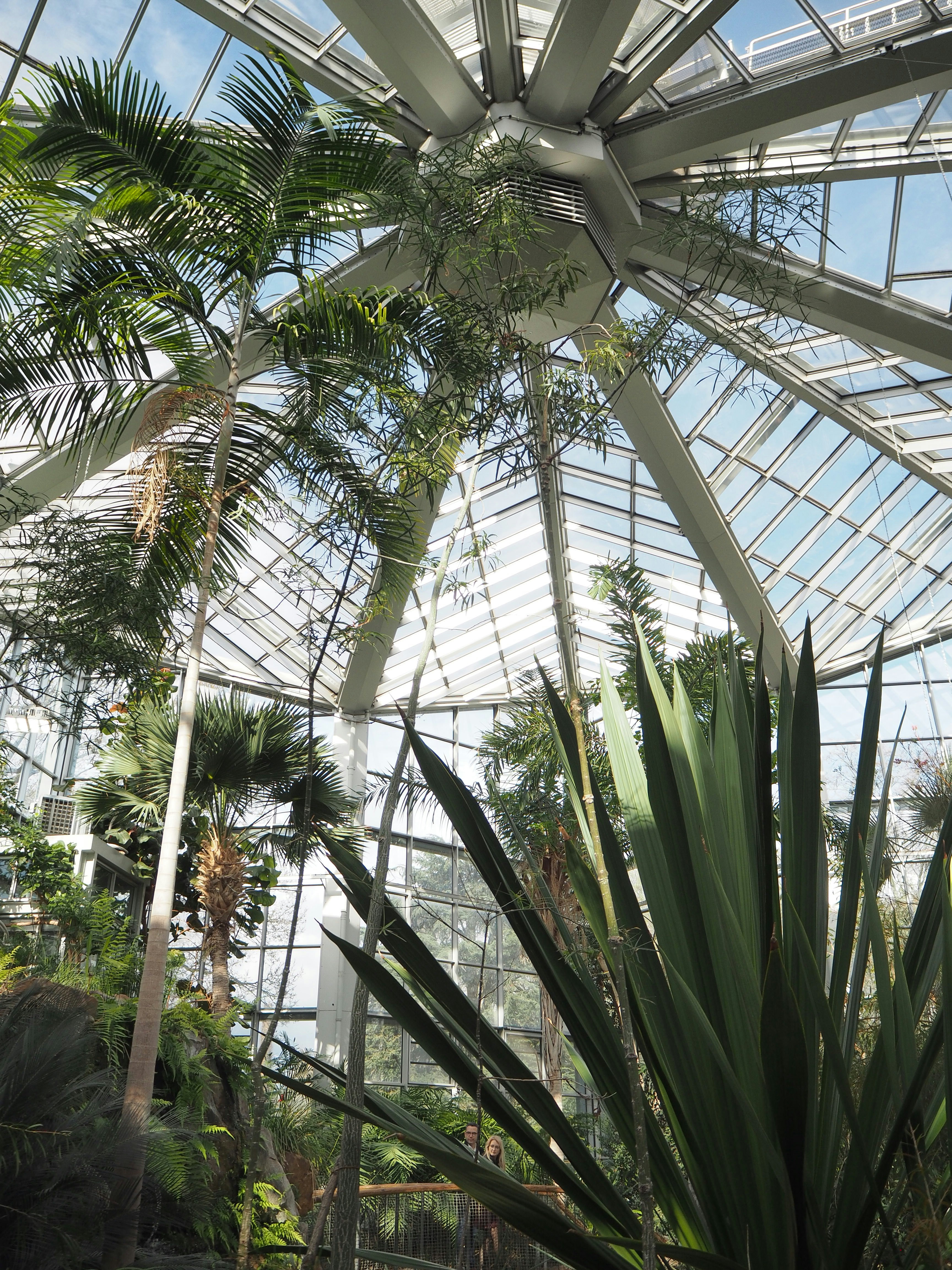 Photo by behnazyosofi