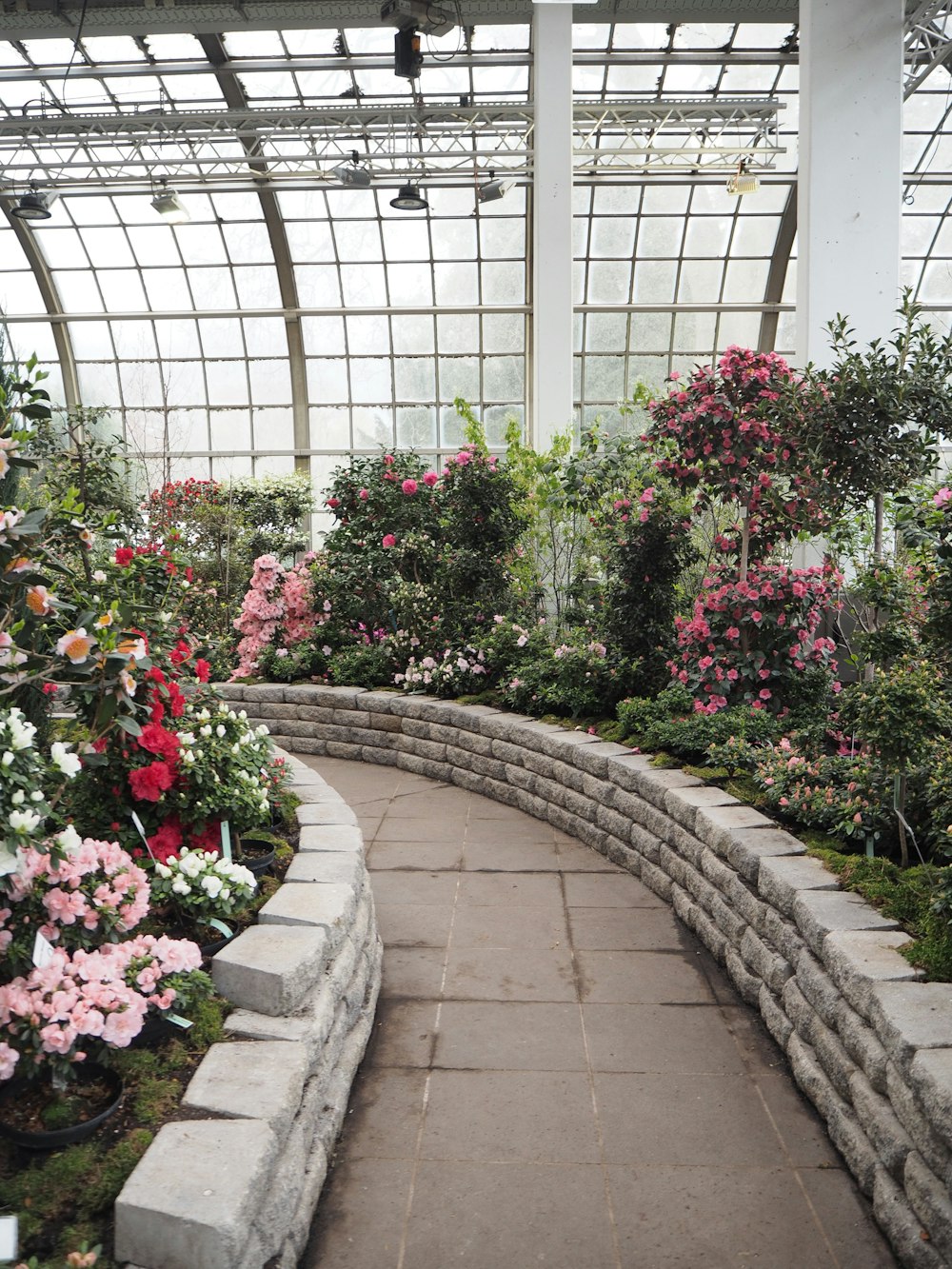 a walkway in a garden filled with lots of flowers