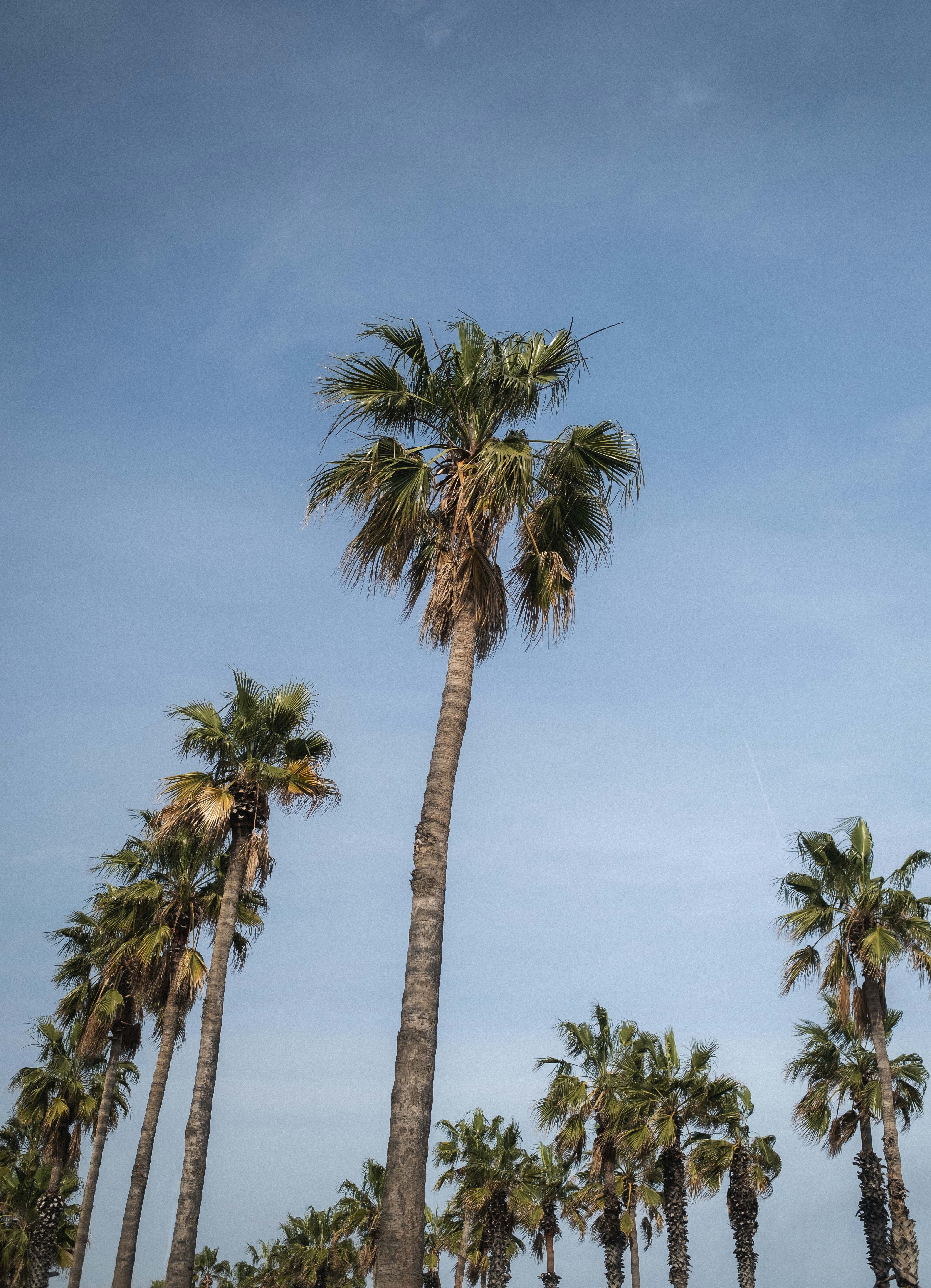 Photo by damian_ochrymowicz