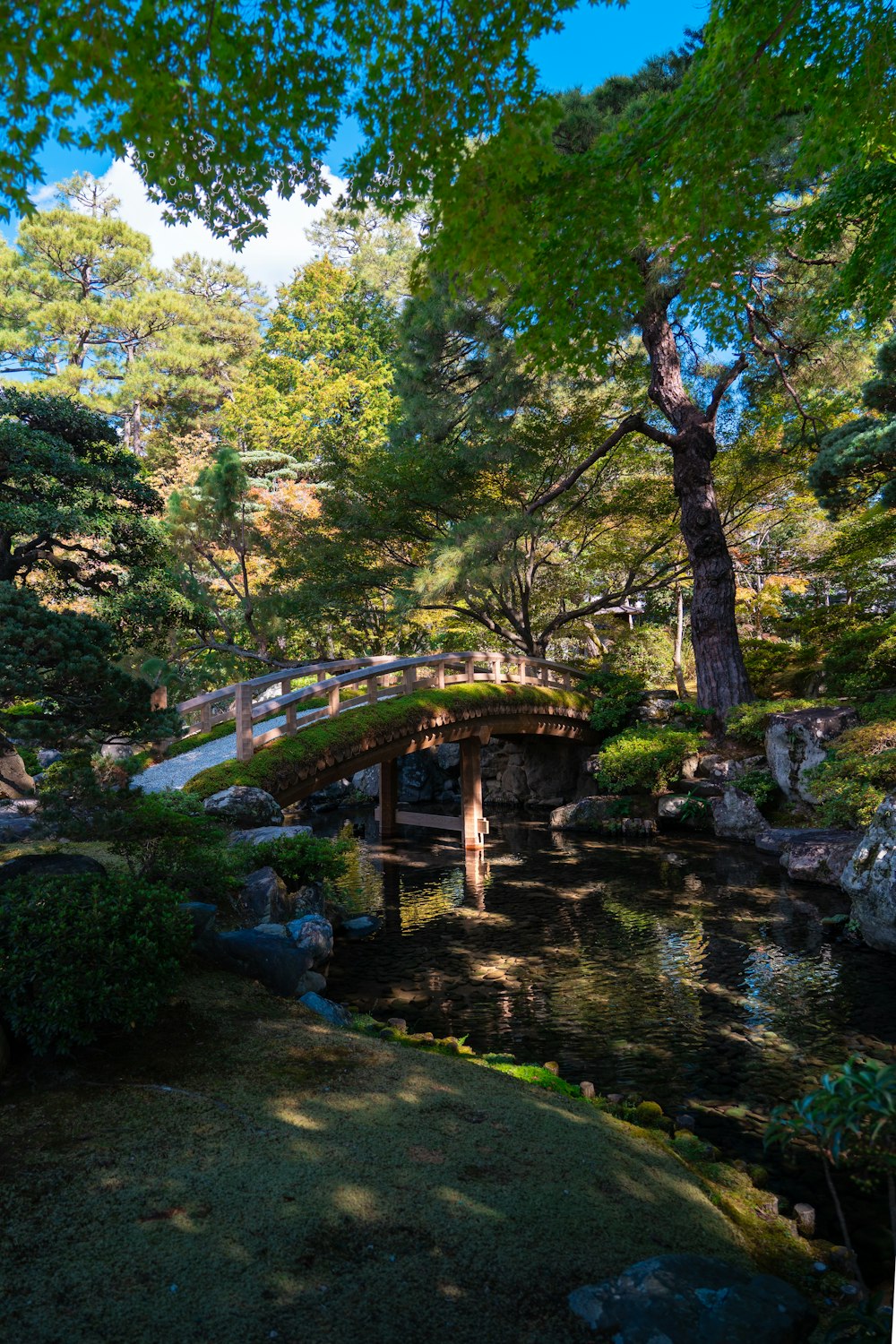 a small bridge over a small pond in a park