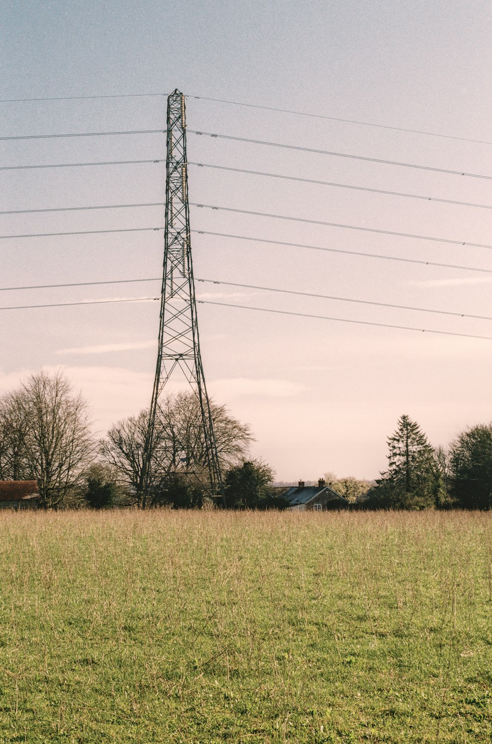 a horse standing in a field with power lines in the background