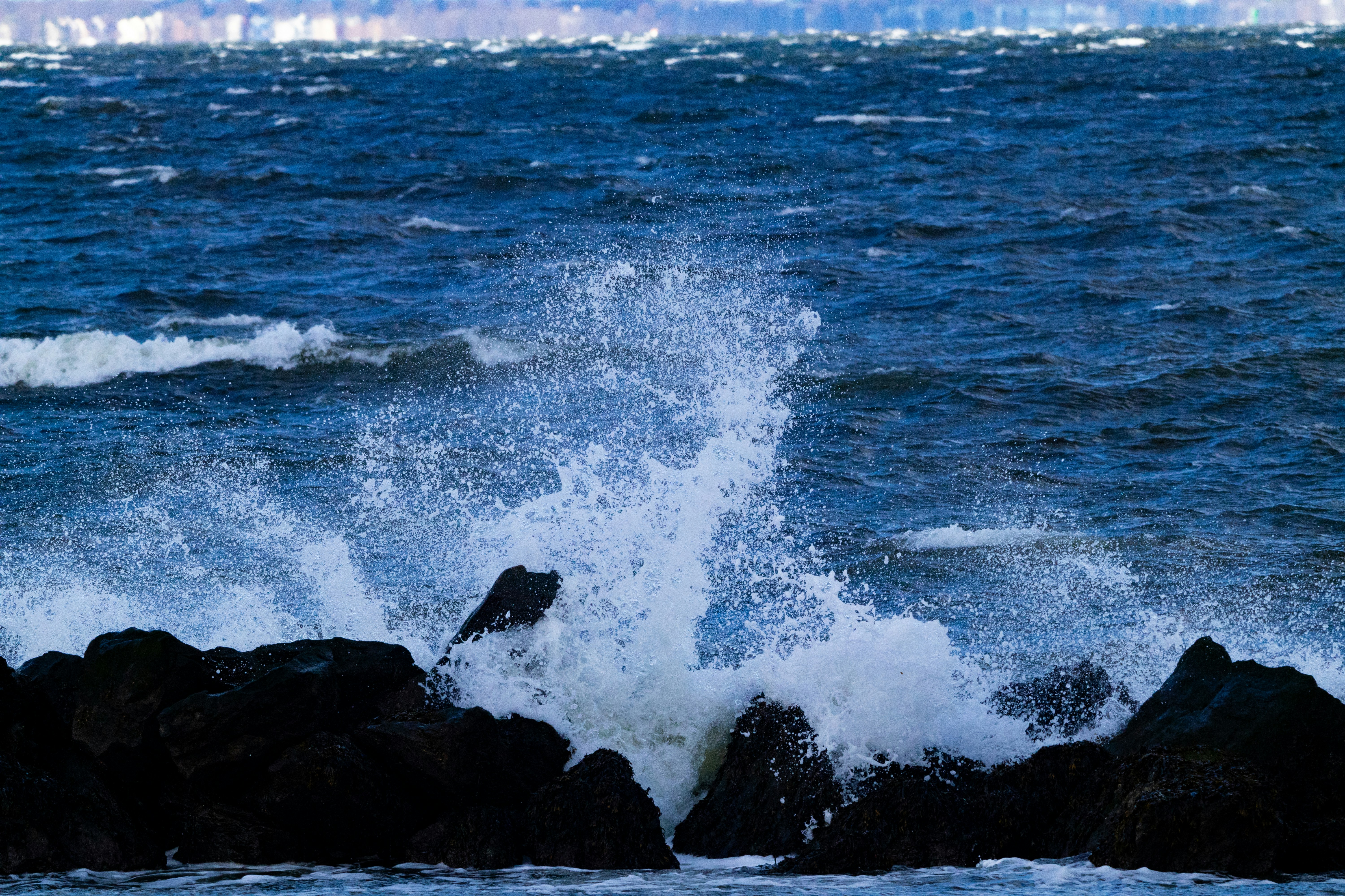 Photo by ucwhphotography