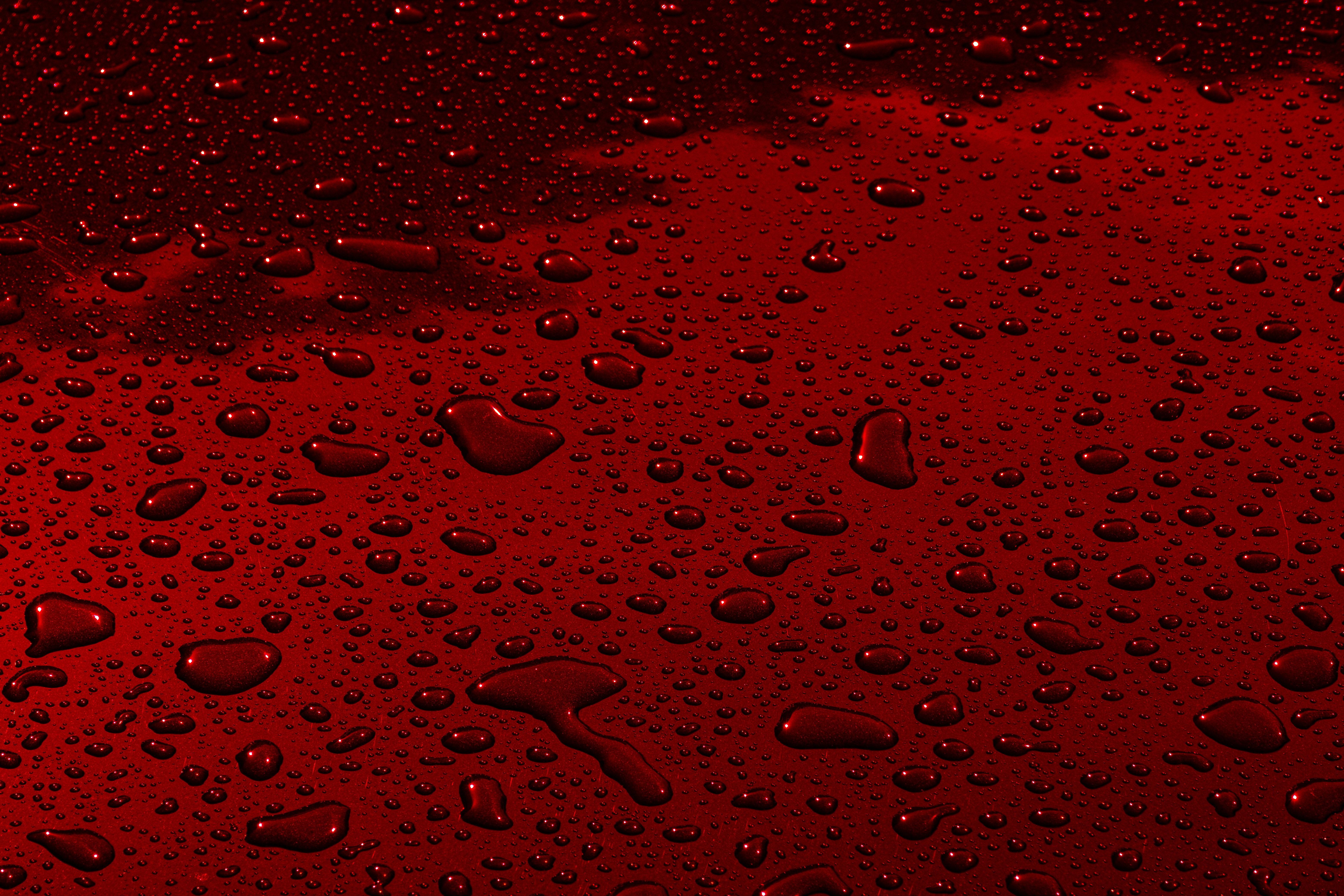 [hikaye] : Shalltear Bloodfallen