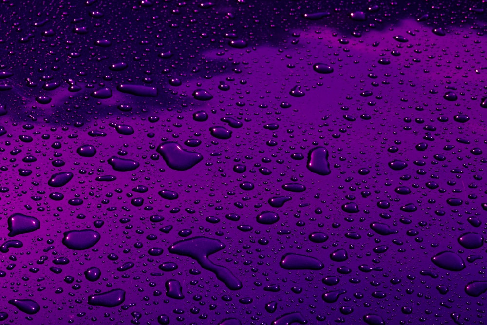 a purple background with water drops on it