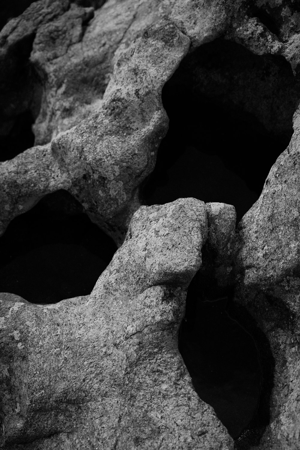 a black and white photo of rocks with holes in them