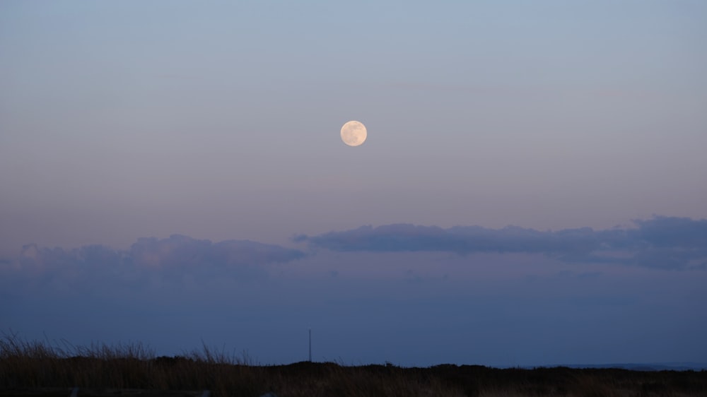 a full moon is seen in the sky above a field