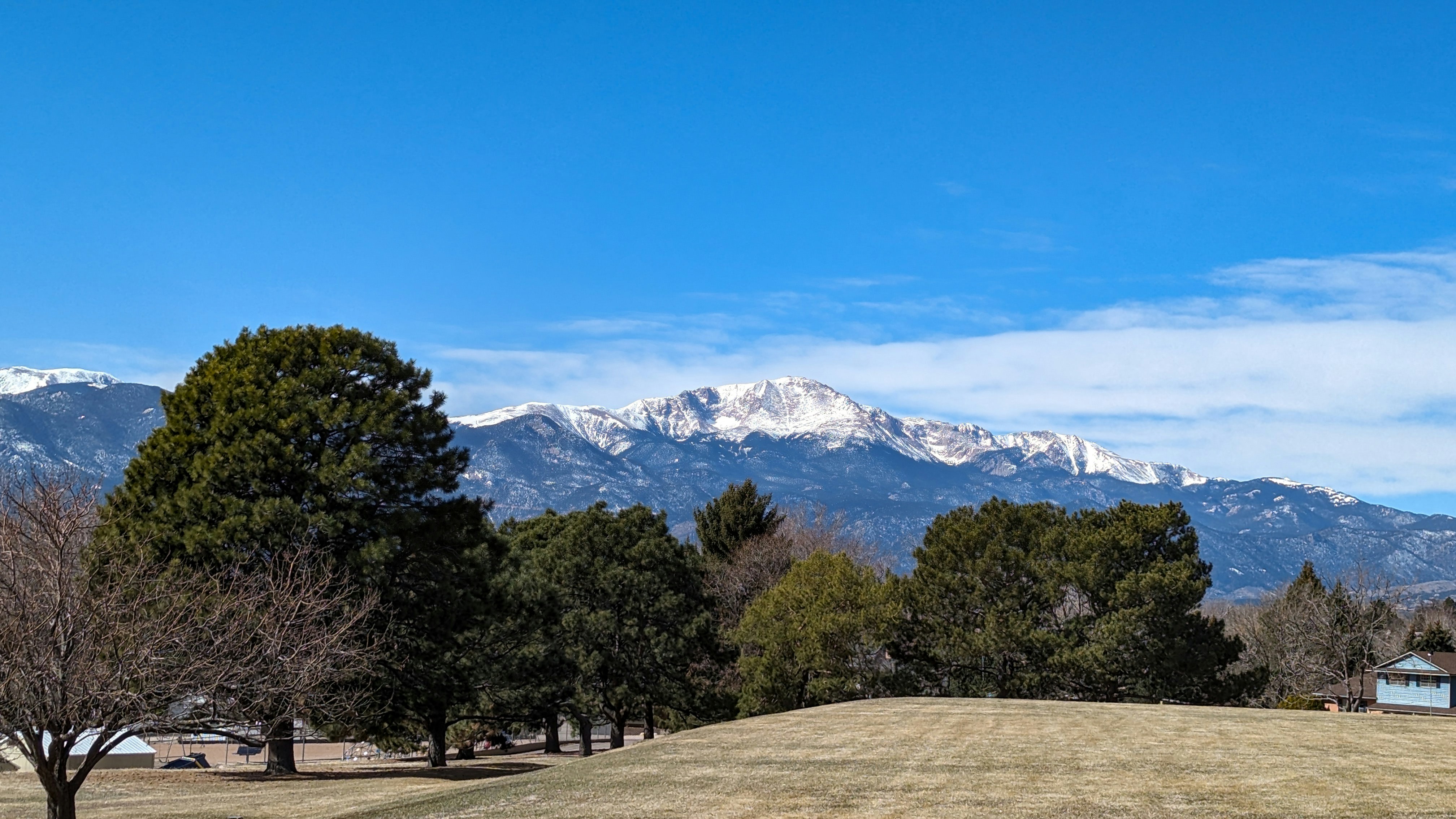 Landscape maintenance Colorado Springs - beautiful lawn and garden by Hortus Tree Trimming