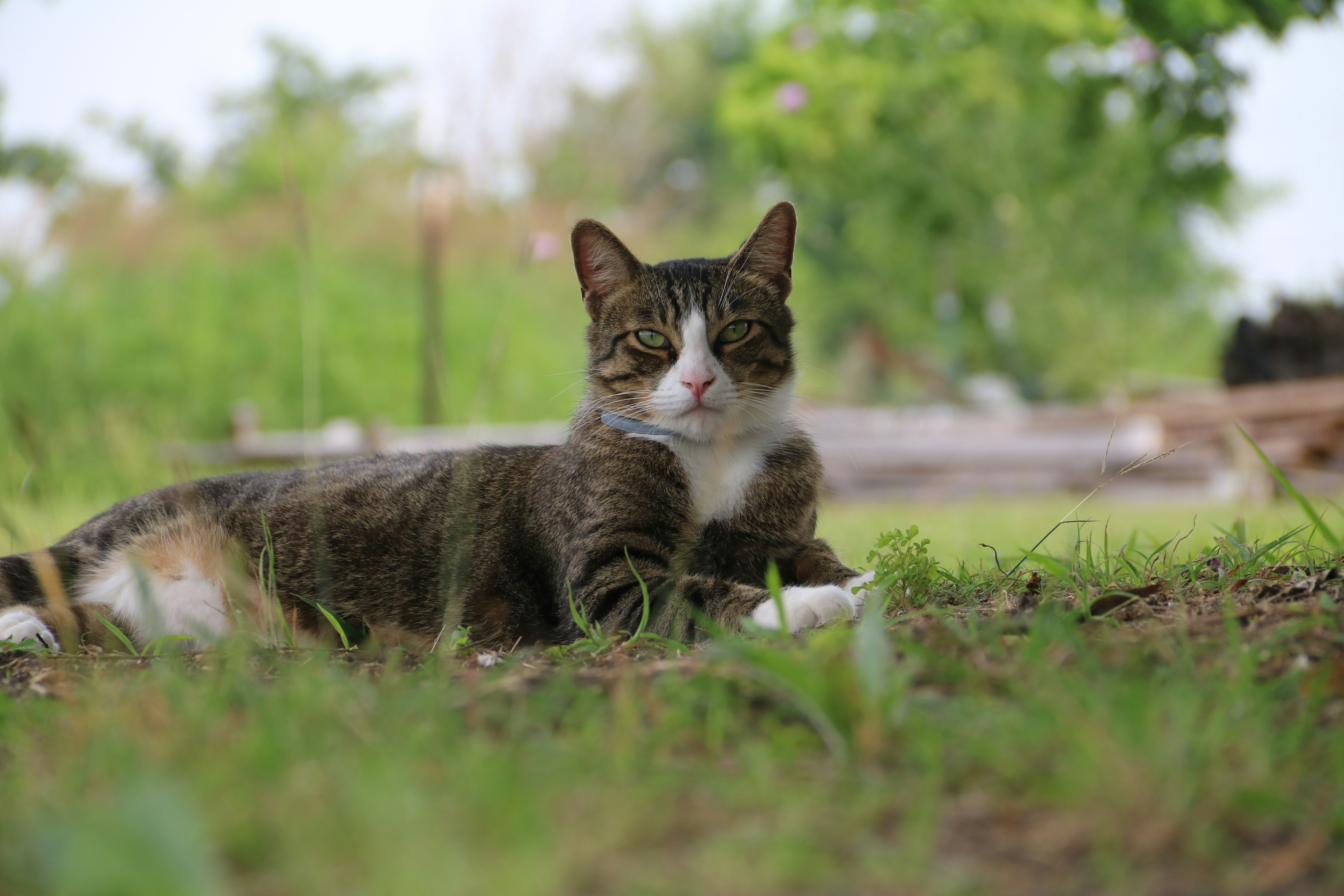 Photo by bellerod123