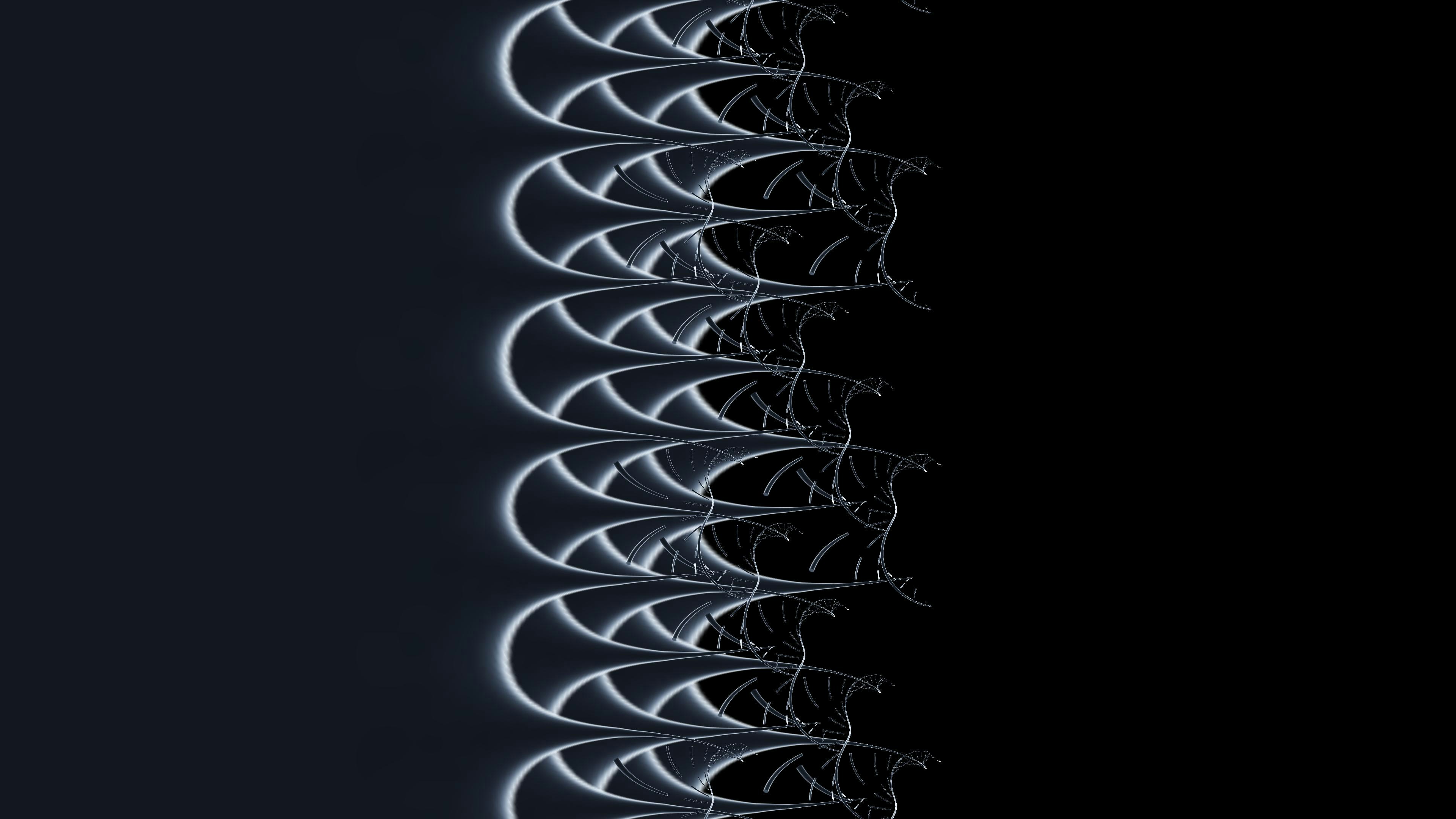 a black and white photo of a spiral of wires