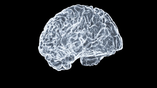 a close up of a human brain on a black background