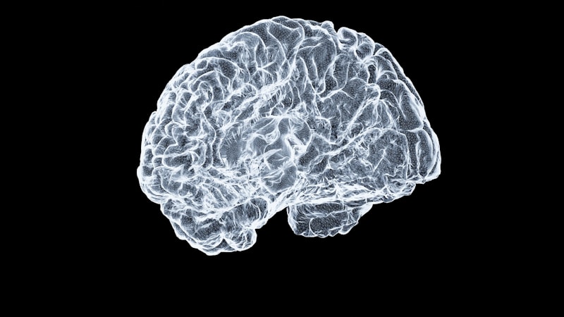 Understanding the 'Letting Go' Network in the Brain