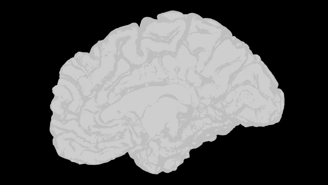 white brain in a side section