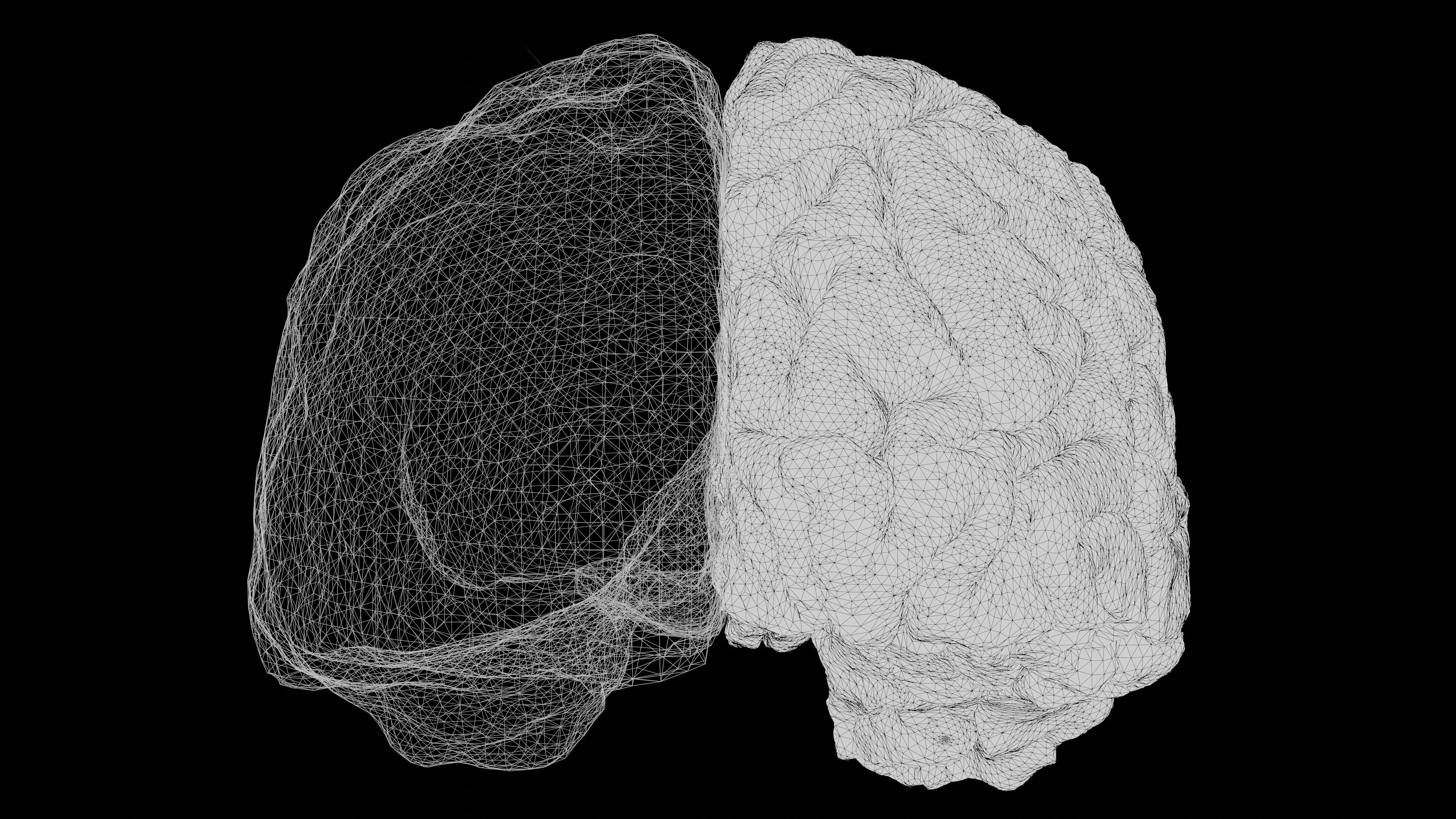 Neurociência a Serviço da Marca: Como o Design Sensorial dos Brindes Corporativos Influencia Decisões e Fidelidade