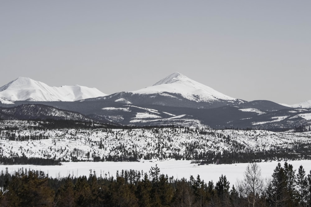 a snowy mountain range with trees in the foreground