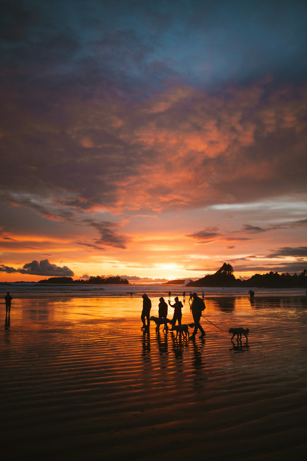 a group of people standing on top of a beach