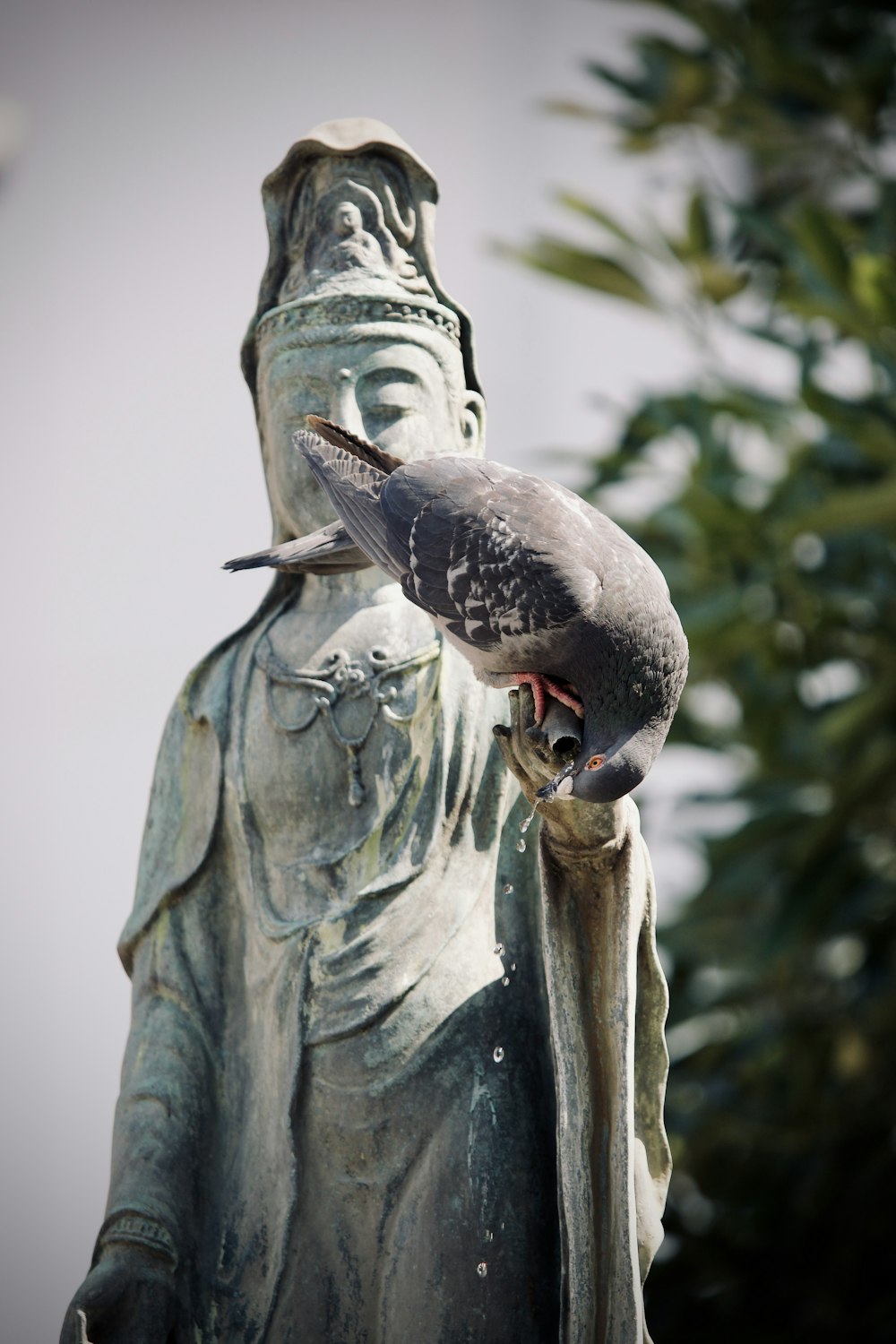 a pigeon is perched on the back of a statue