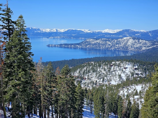 a scenic view of a lake surrounded by trees