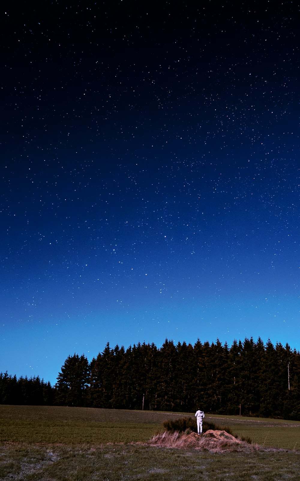 a person standing in a field under a night sky