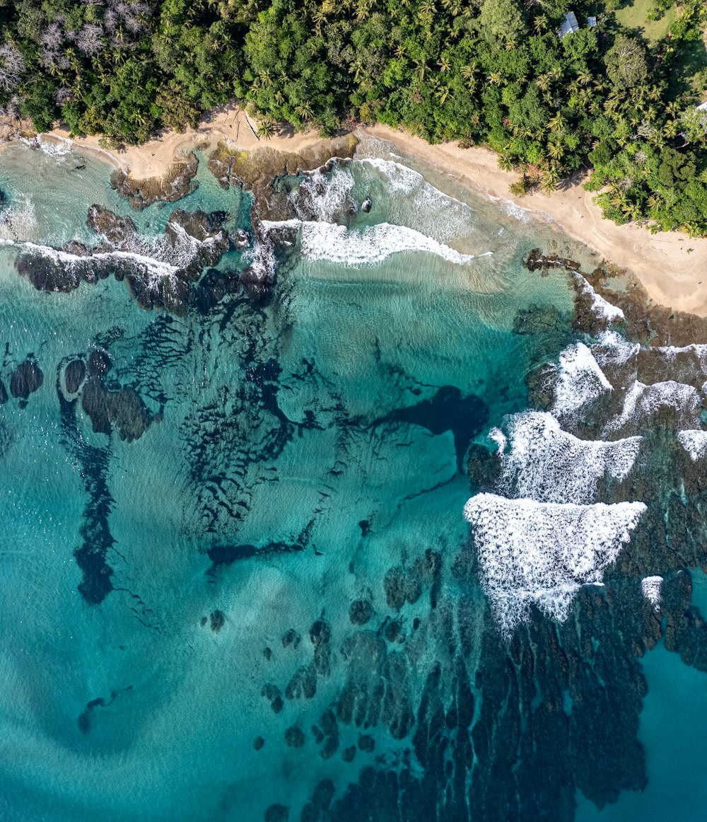 an aerial view of a beach and ocean