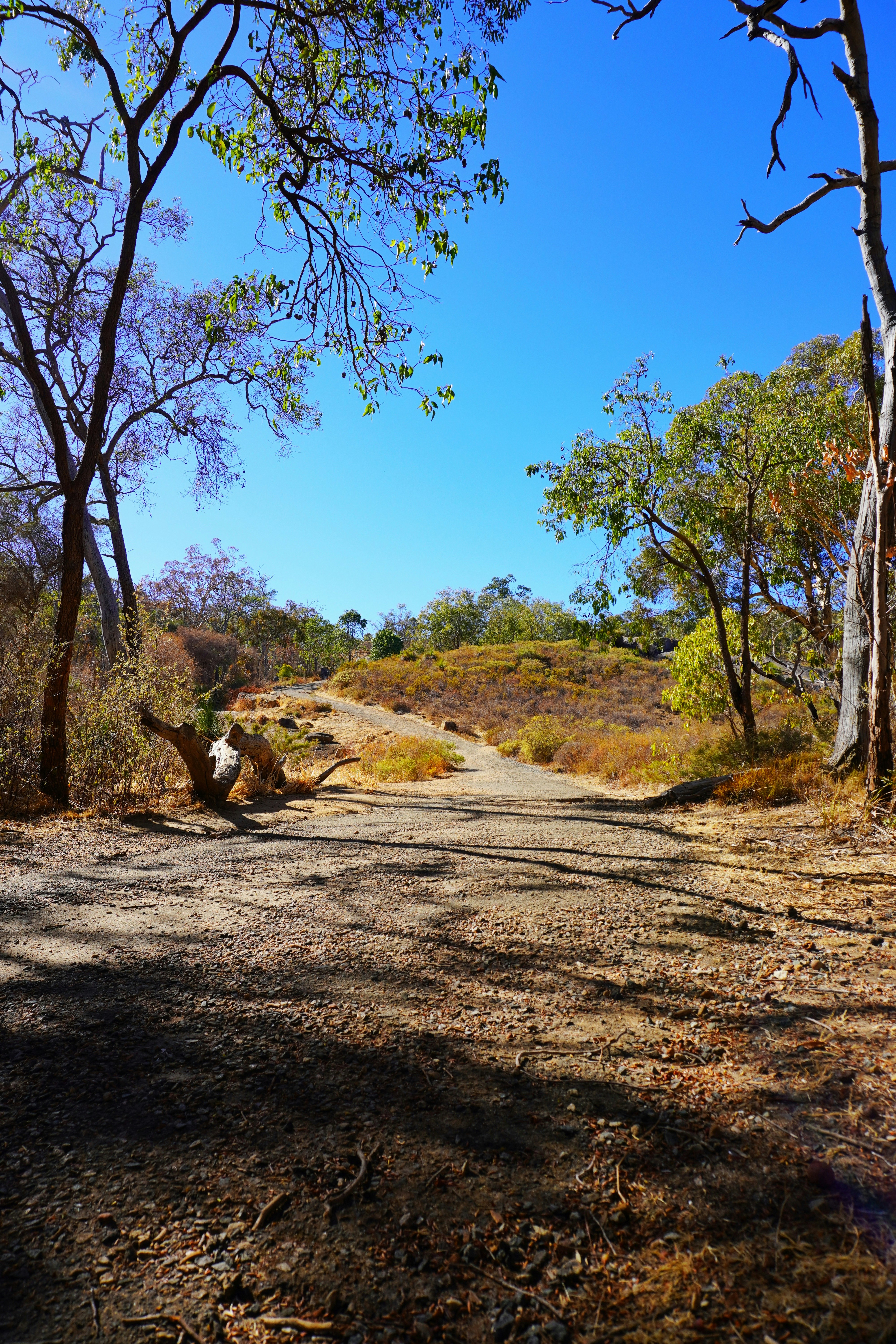 Lesmurdie, Western Australia