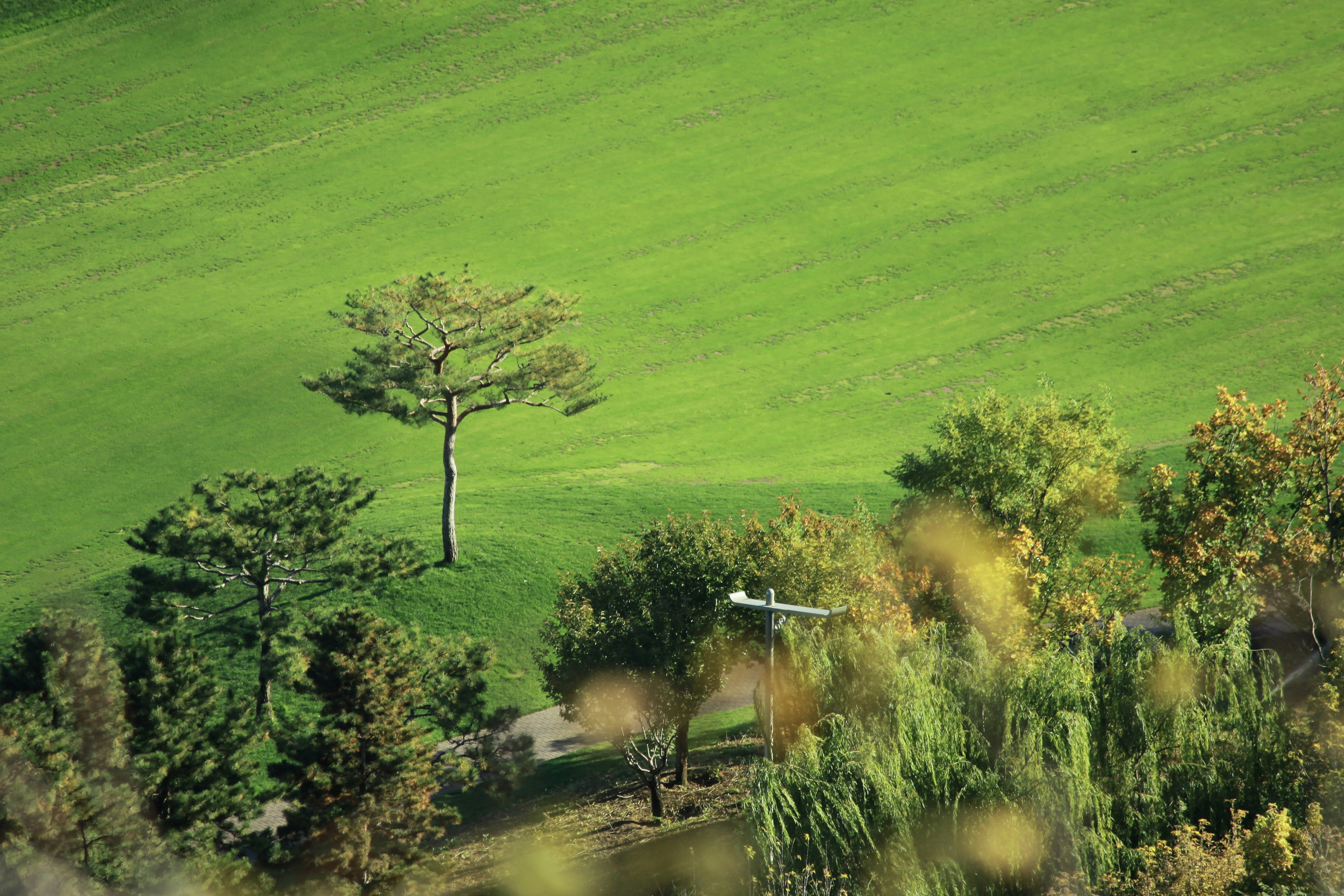 Photo by recordarsew