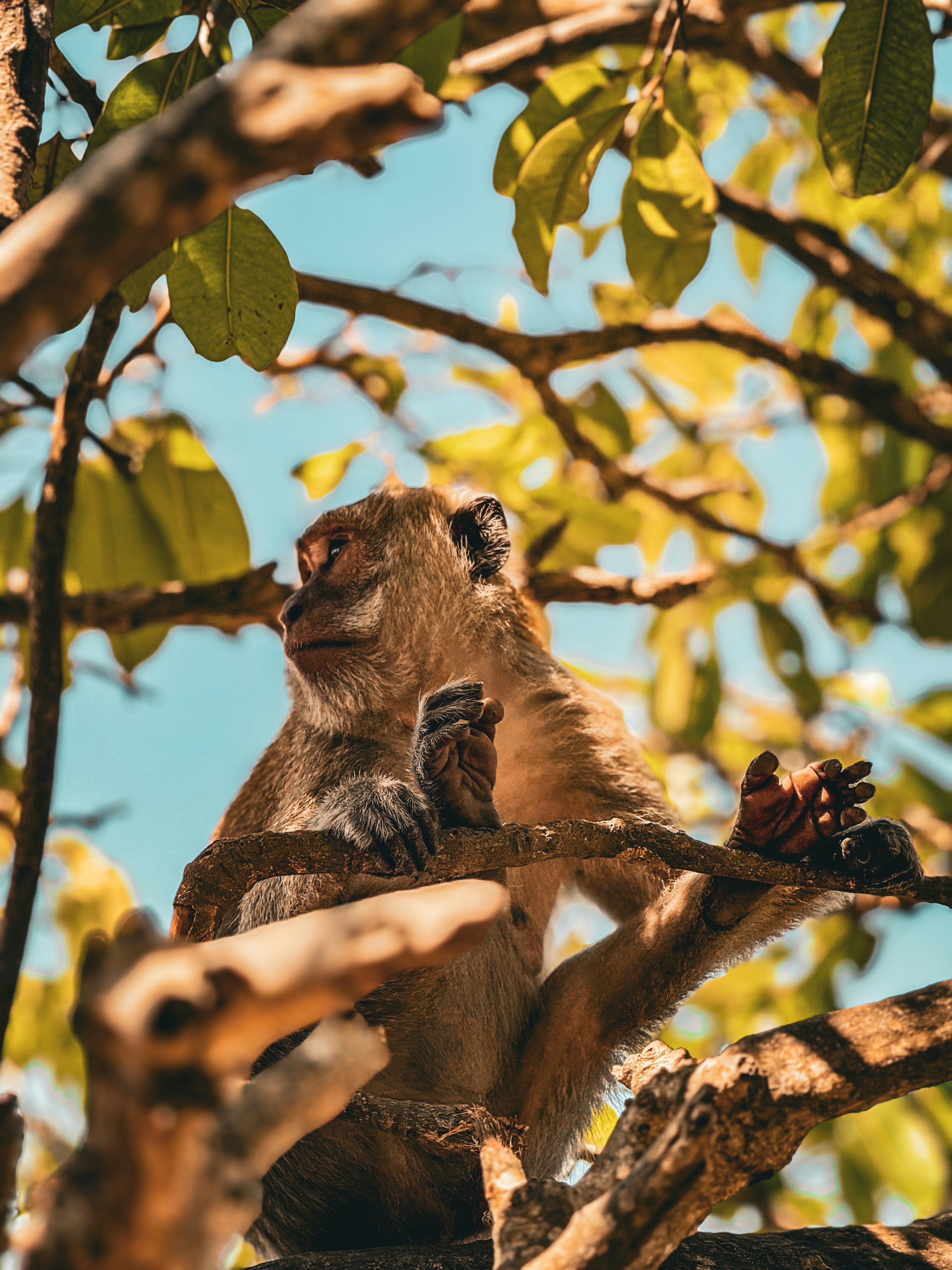 Photo by richardhdw07