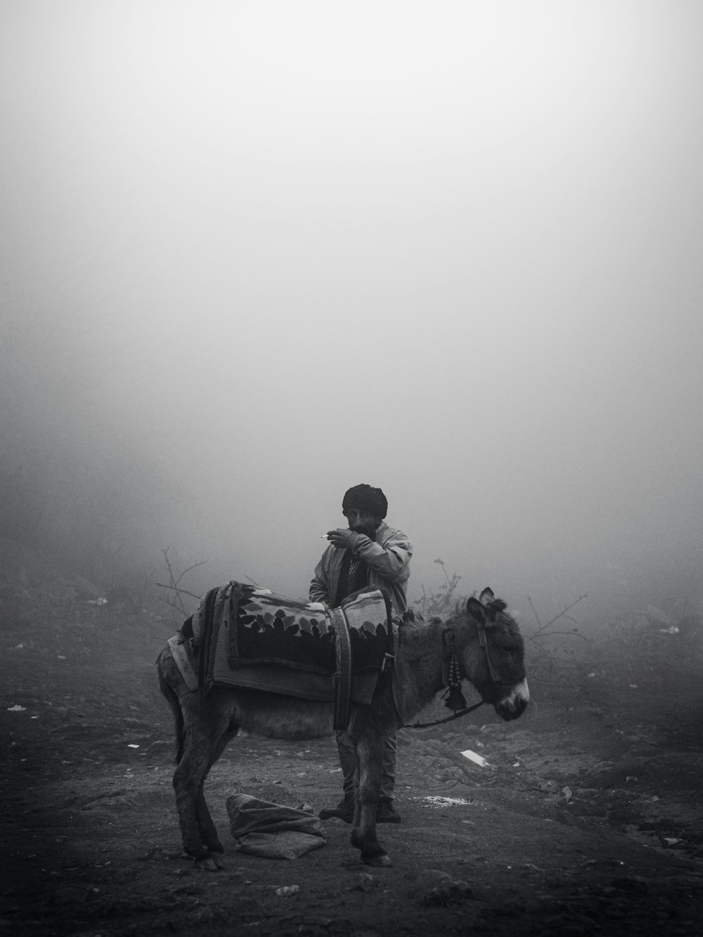 a man standing next to a donkey in the fog