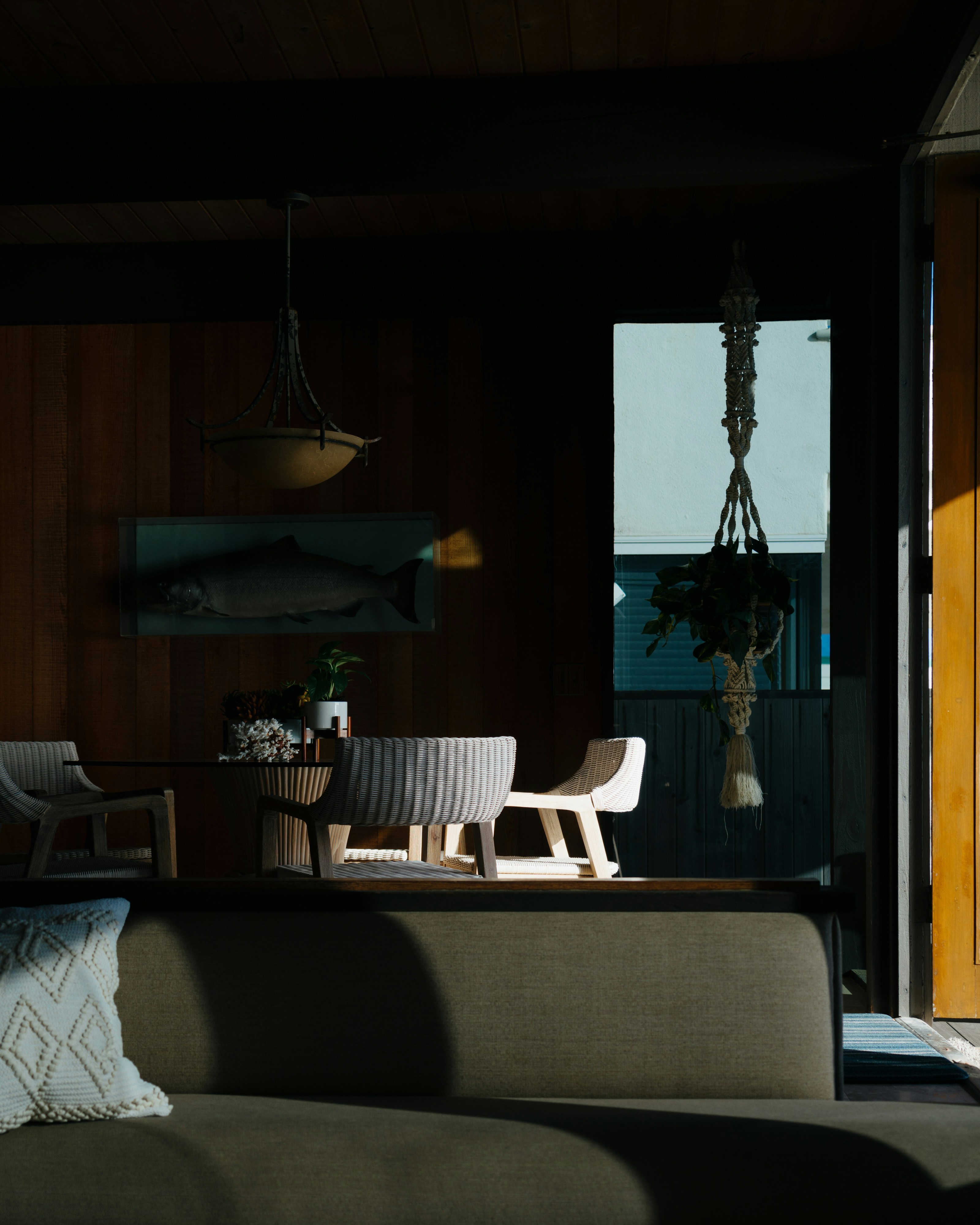 Photo by lifeof_peter_