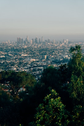 a view of a city from the top of a hill