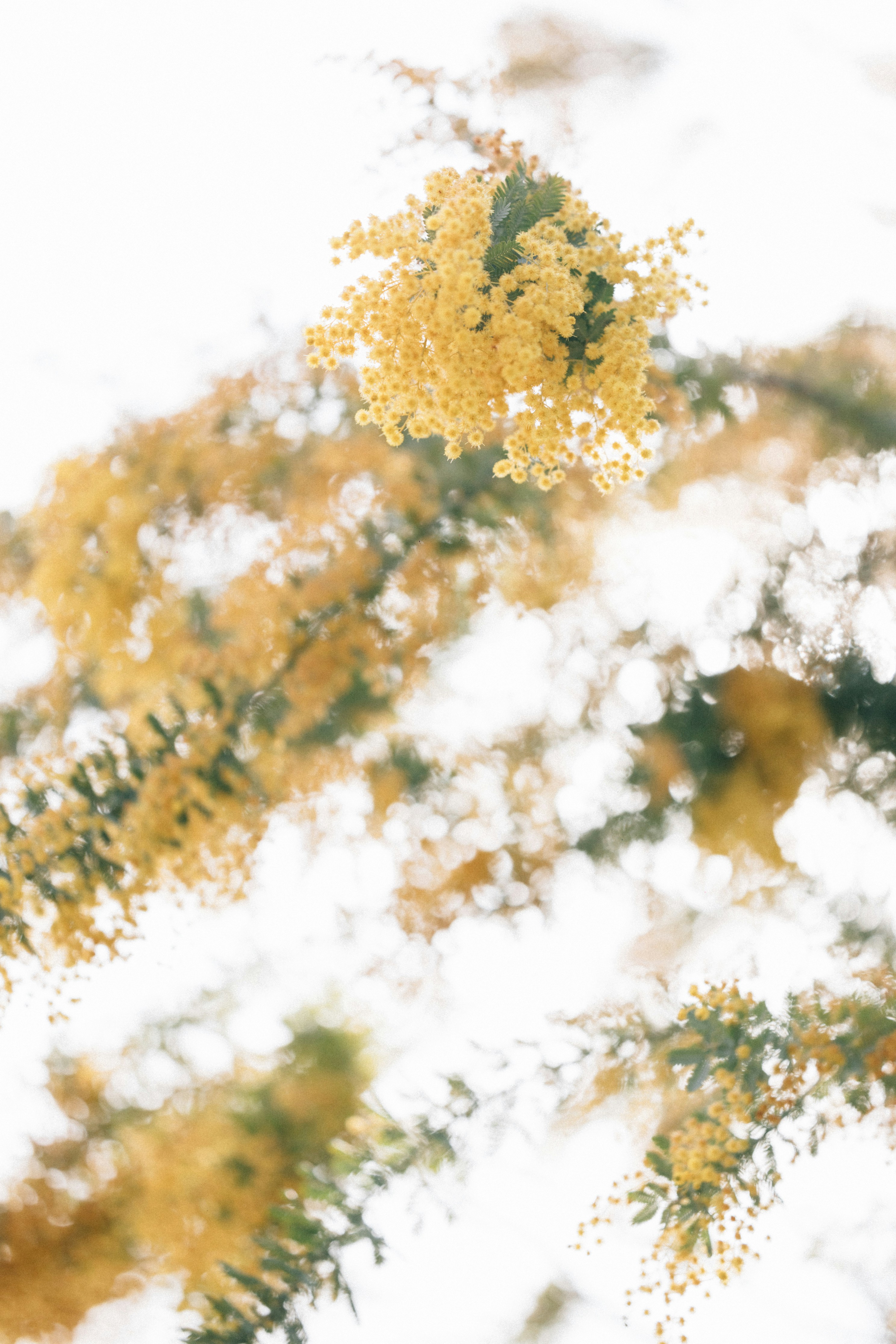 Photo by tsuyoshikozu