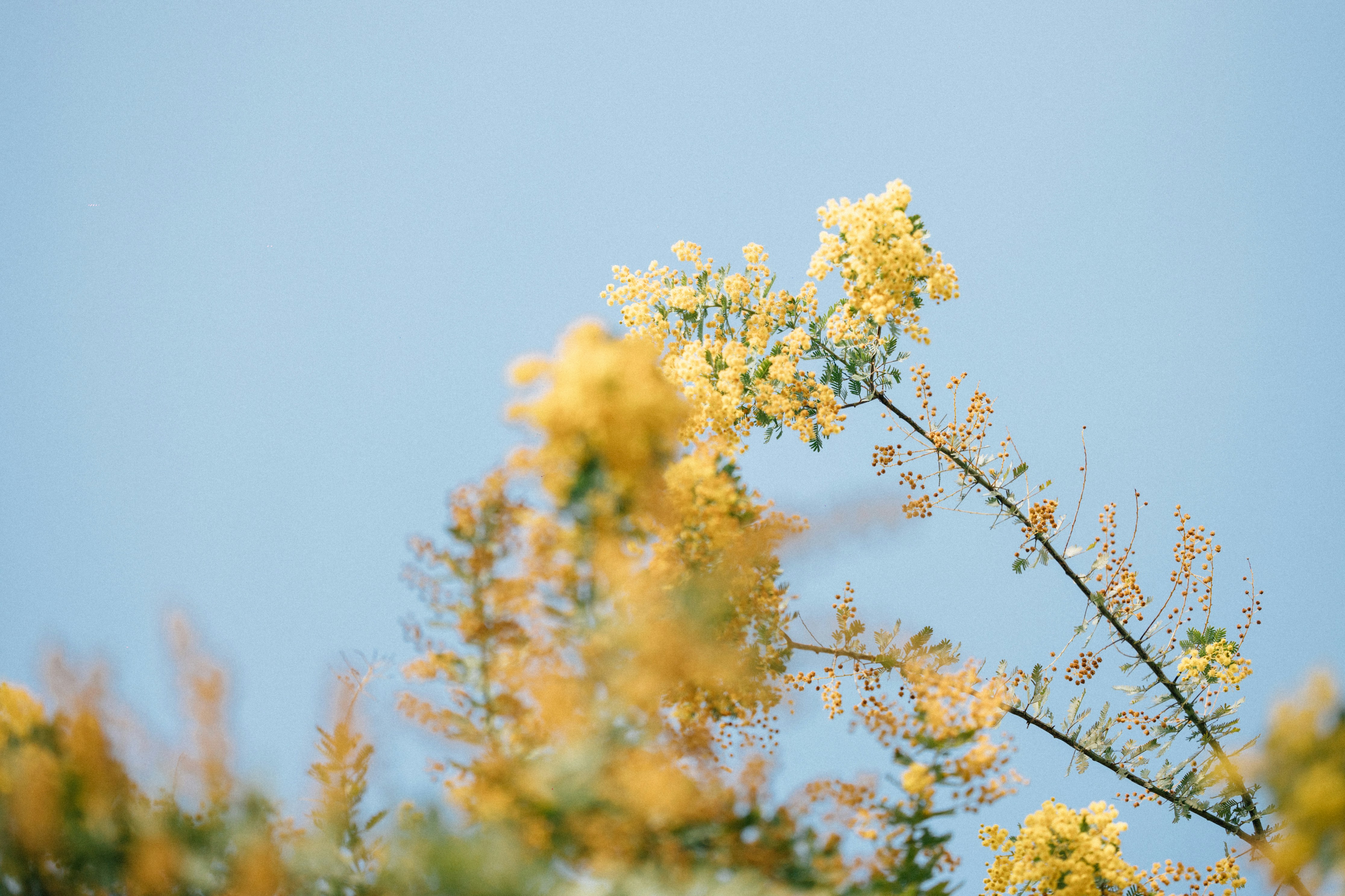 Photo by tsuyoshikozu