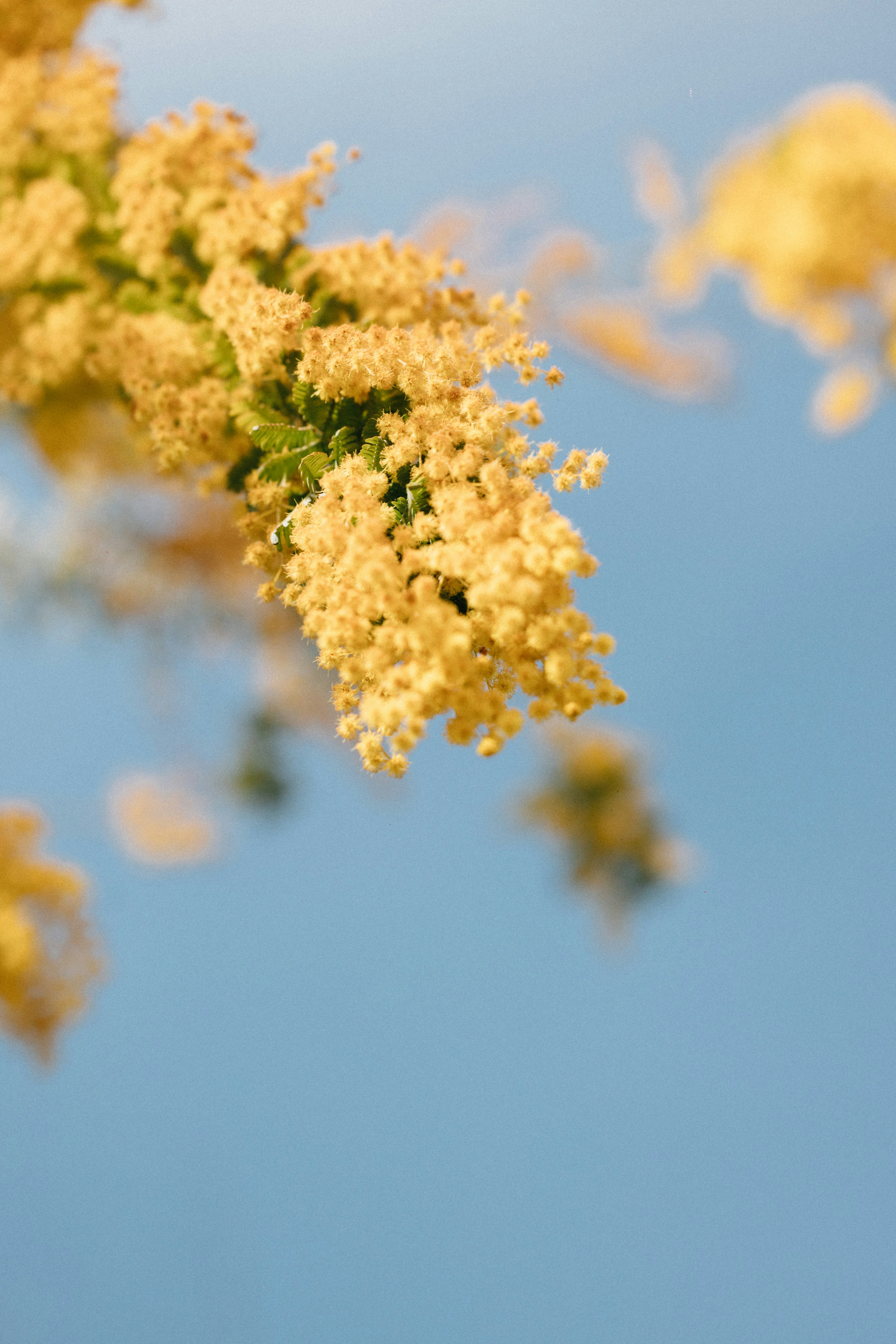 Photo by tsuyoshikozu