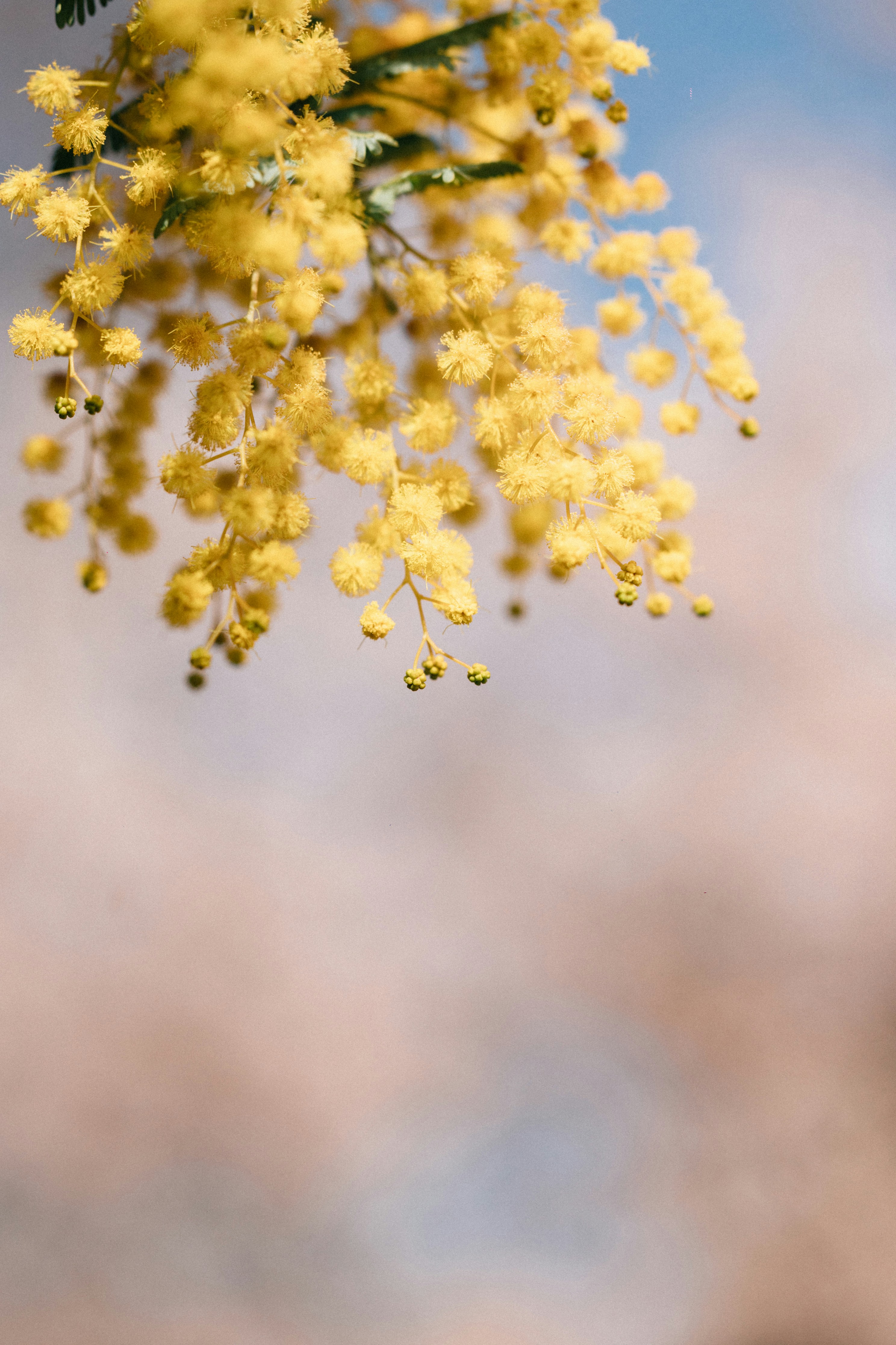 Photo by tsuyoshikozu