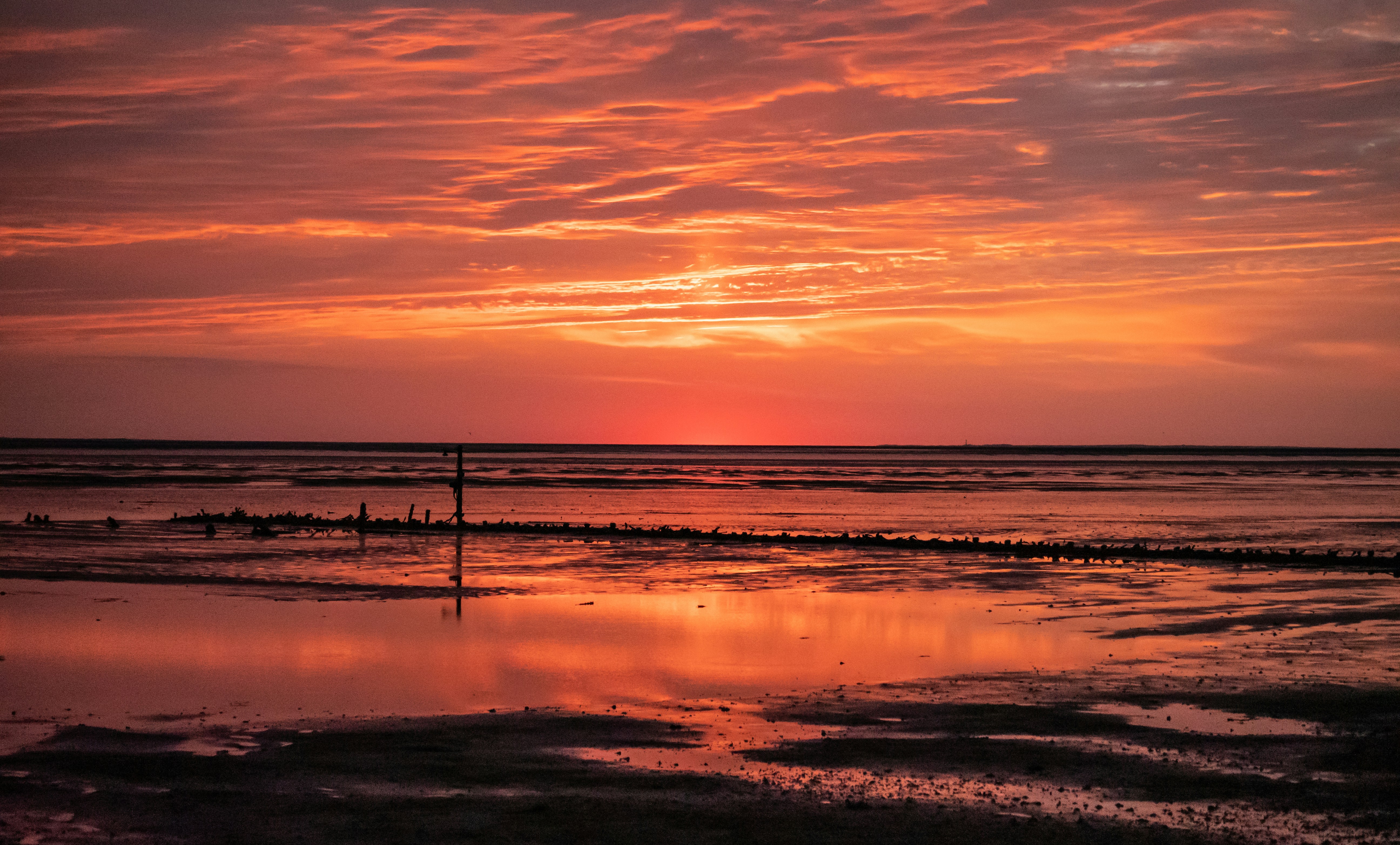 Photo by poli_graphy