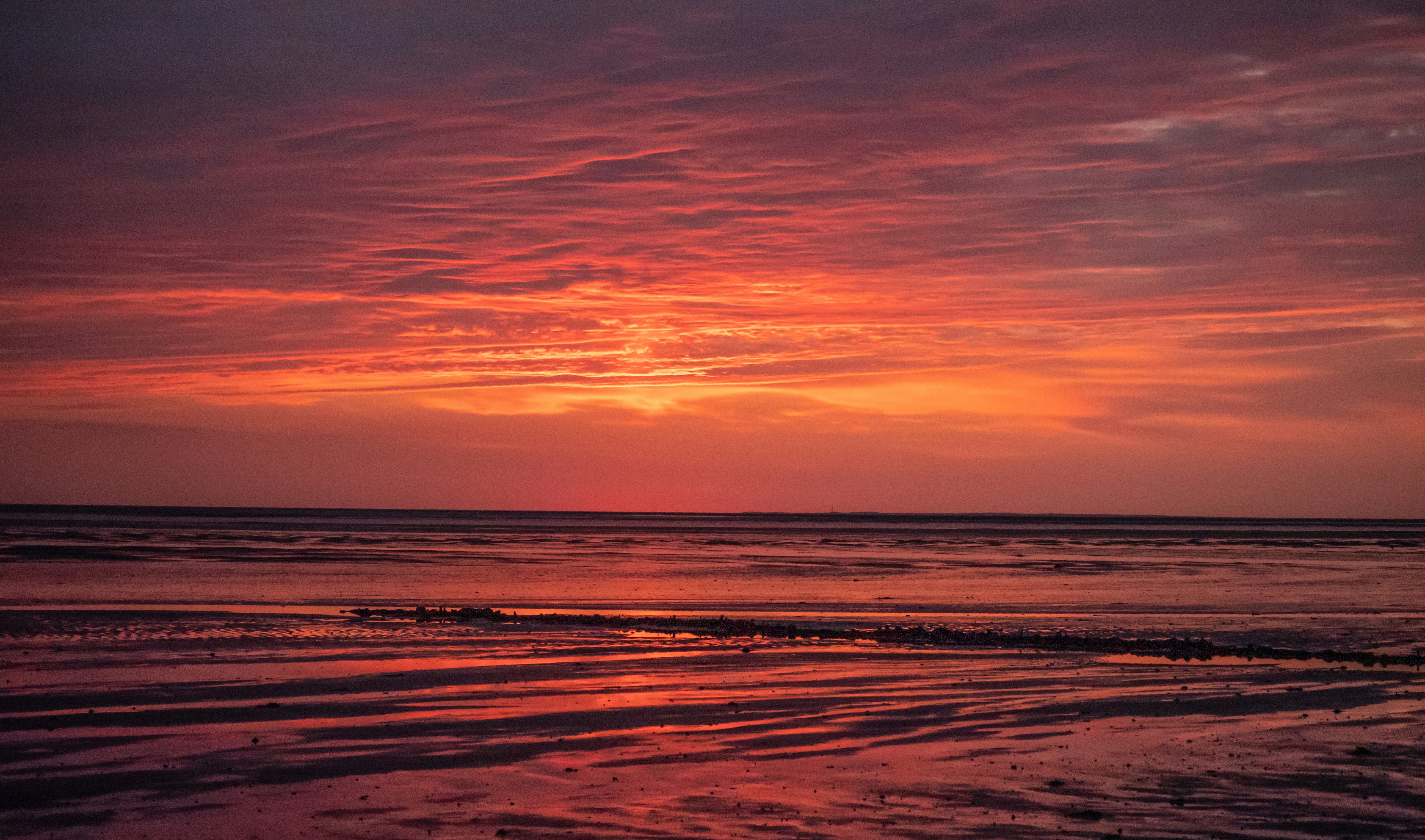 Photo by poli_graphy