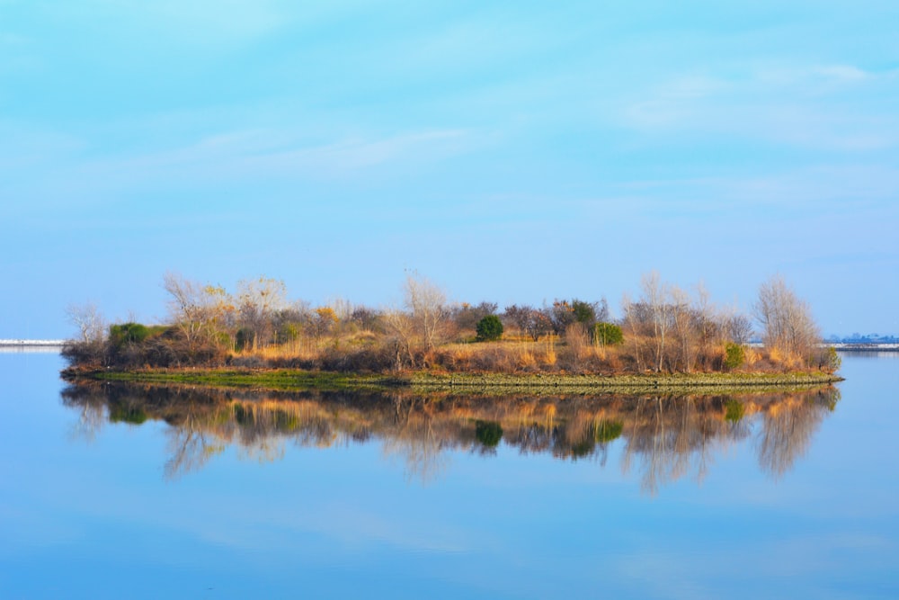 a small island in the middle of a lake