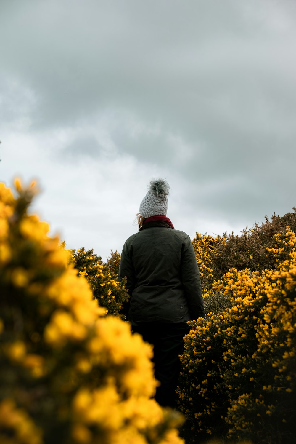 a person standing in a field of yellow flowers