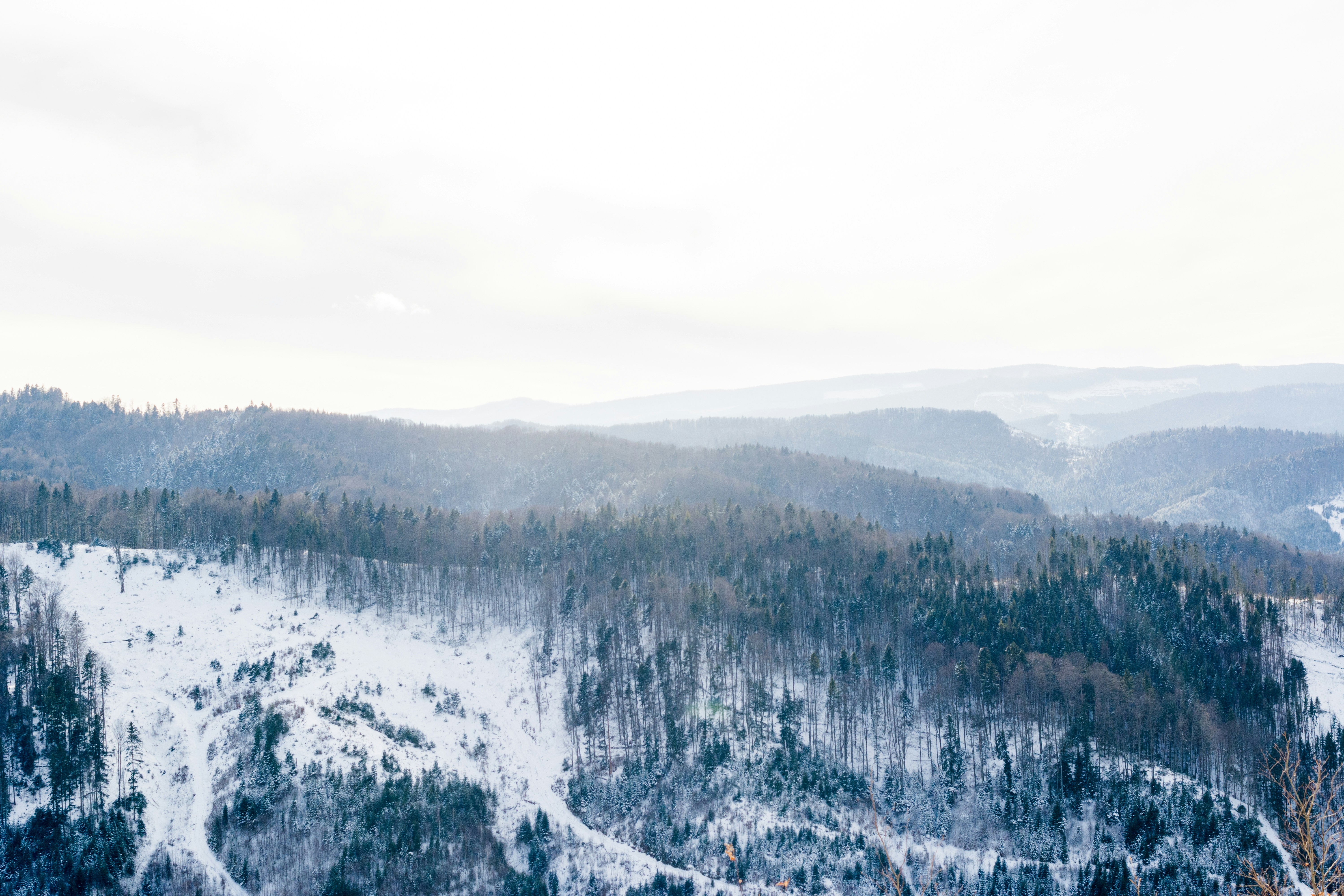 Photo by eugenivy_now