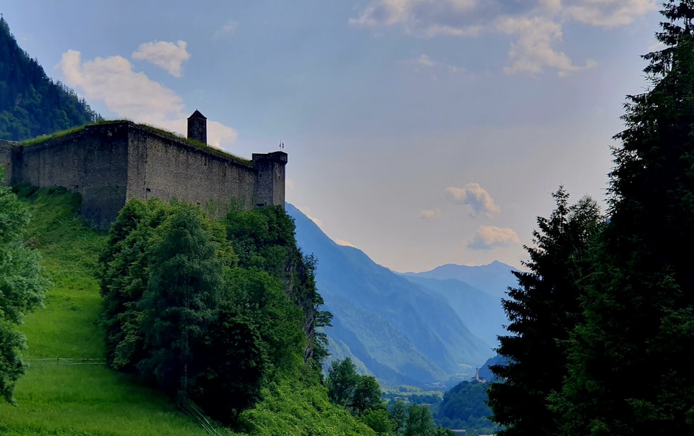 a castle on top of a hill surrounded by trees