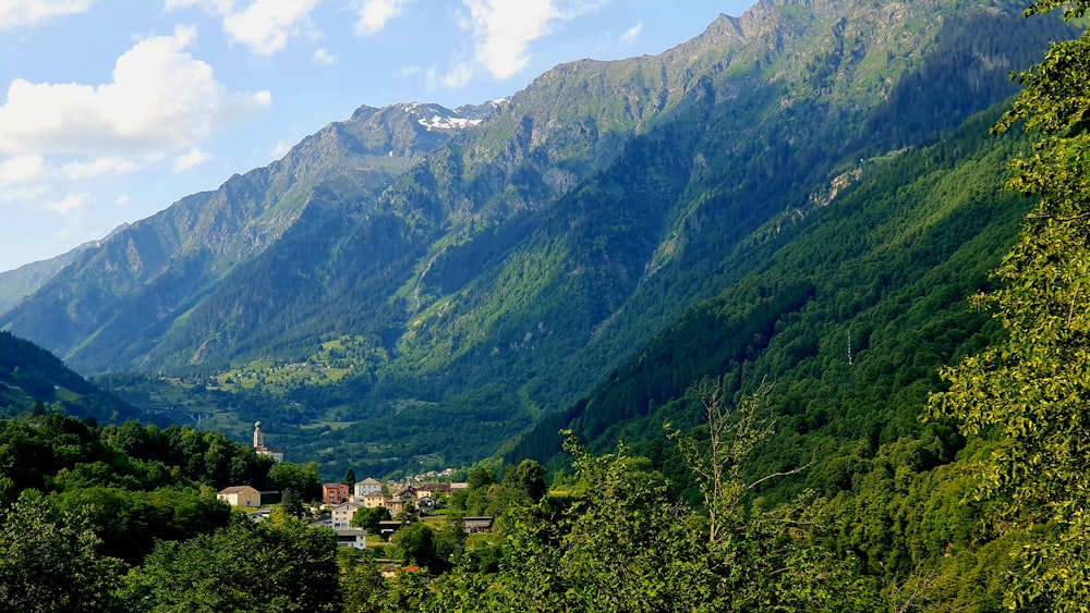 a scenic view of a valley with mountains in the background