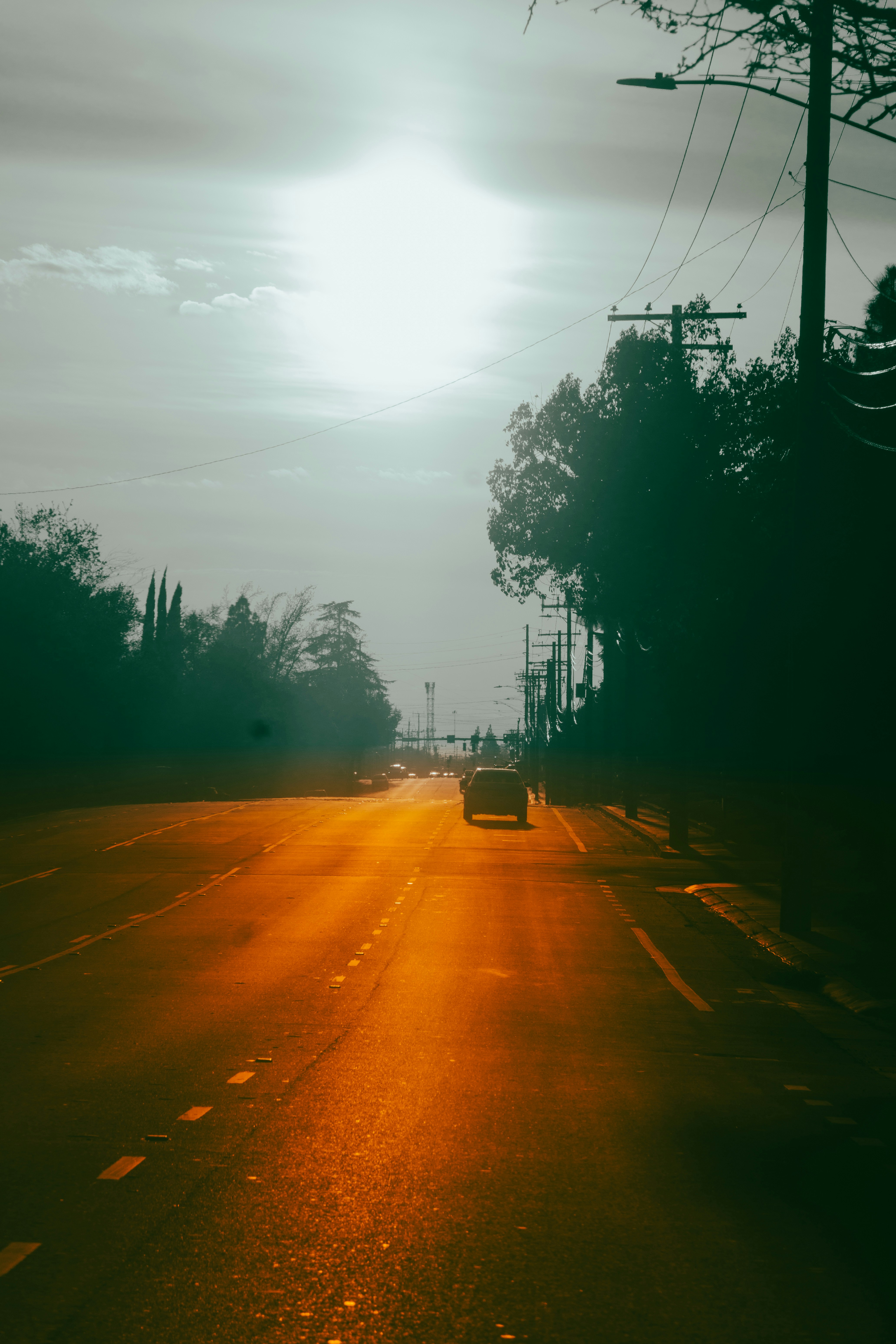 Photo by nishatsamadzai2001