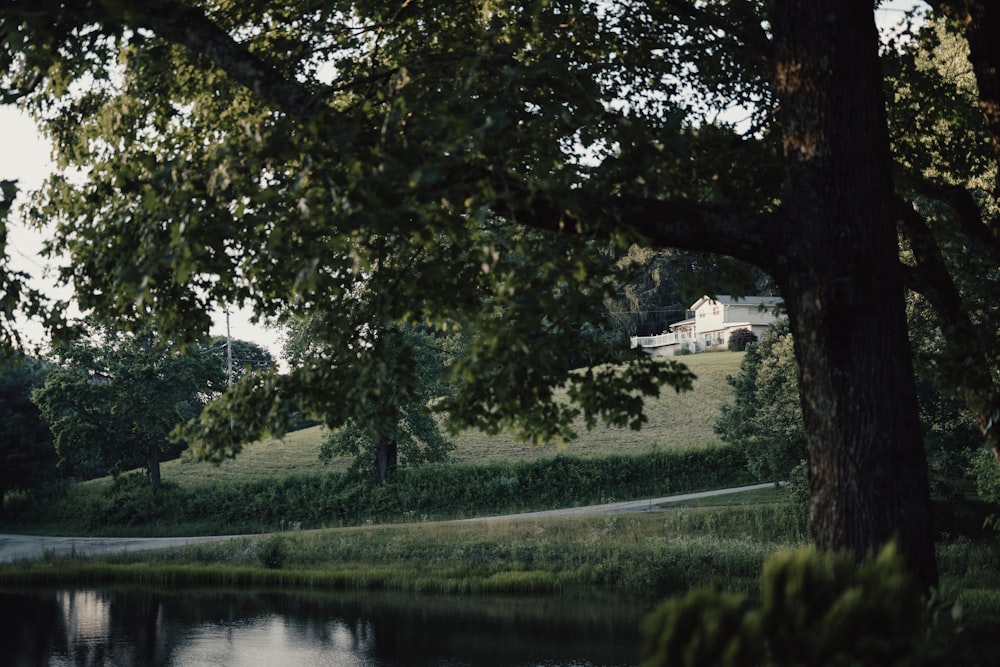 a large house sitting on top of a lush green hillside