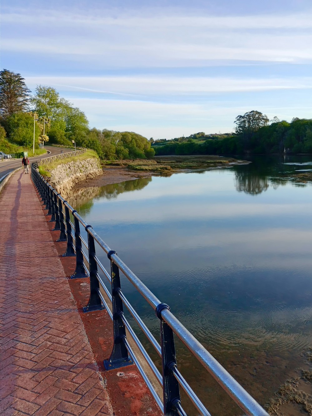 a person walking on a path next to a body of water