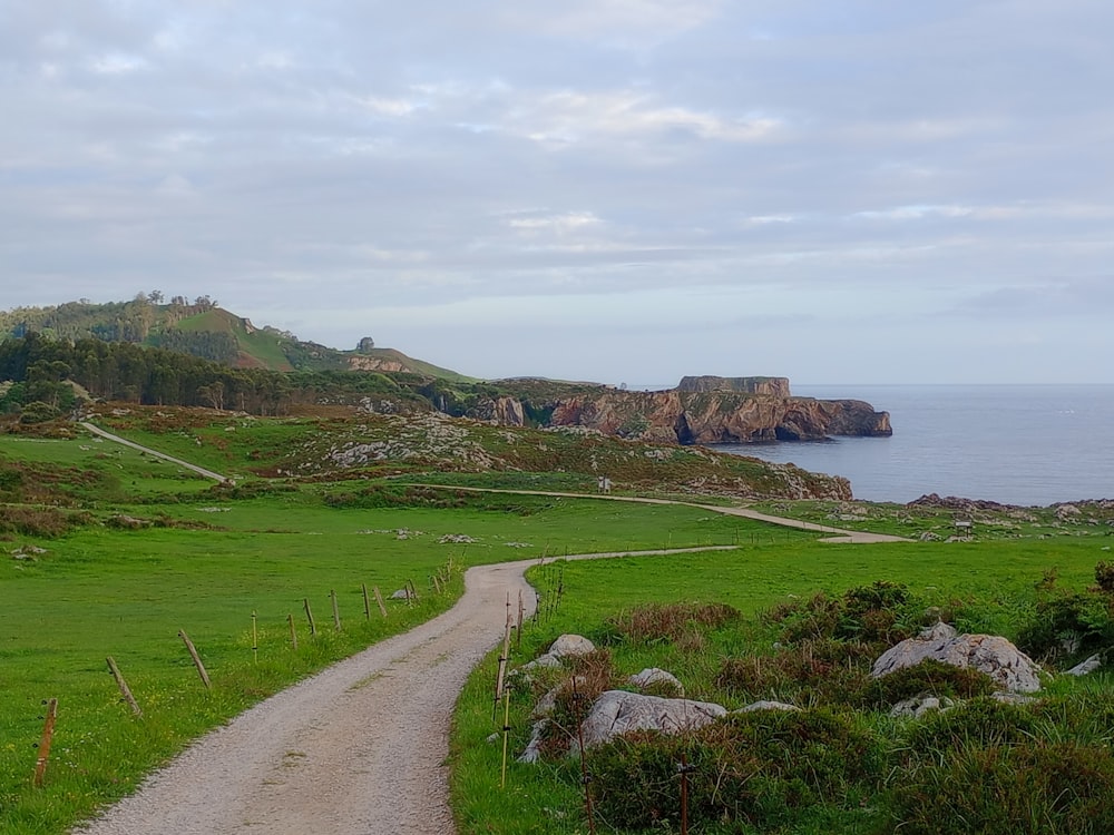 a dirt road going through a lush green field next to a body of water