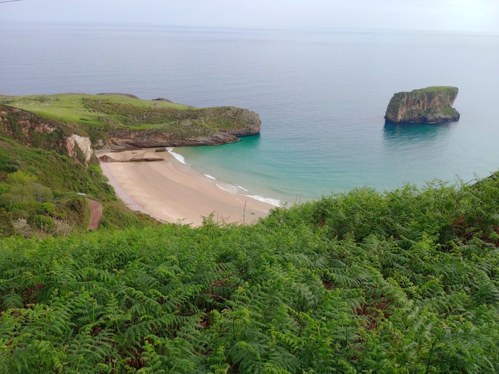 a view of a beach from a hill overlooking the ocean