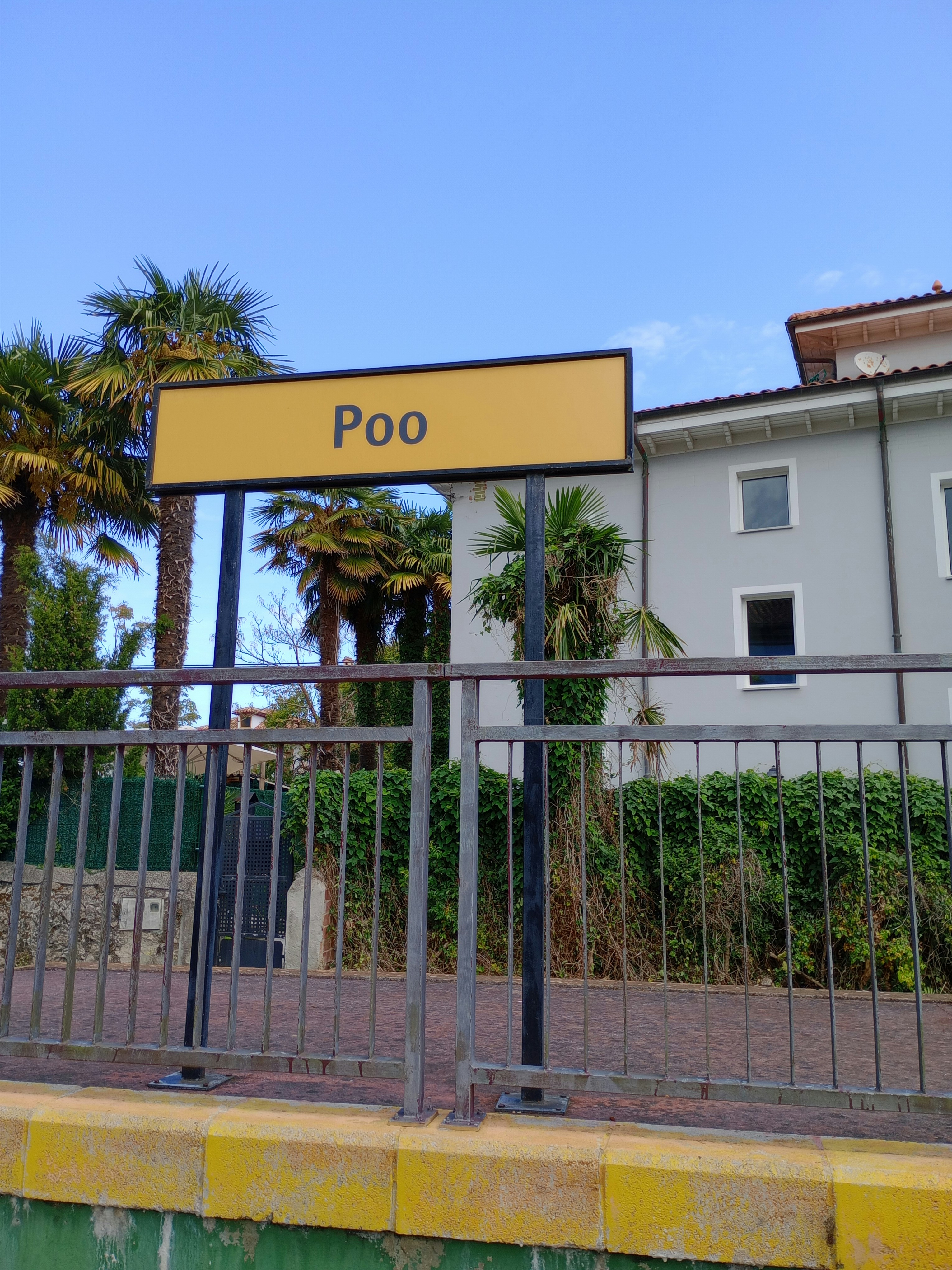Poo