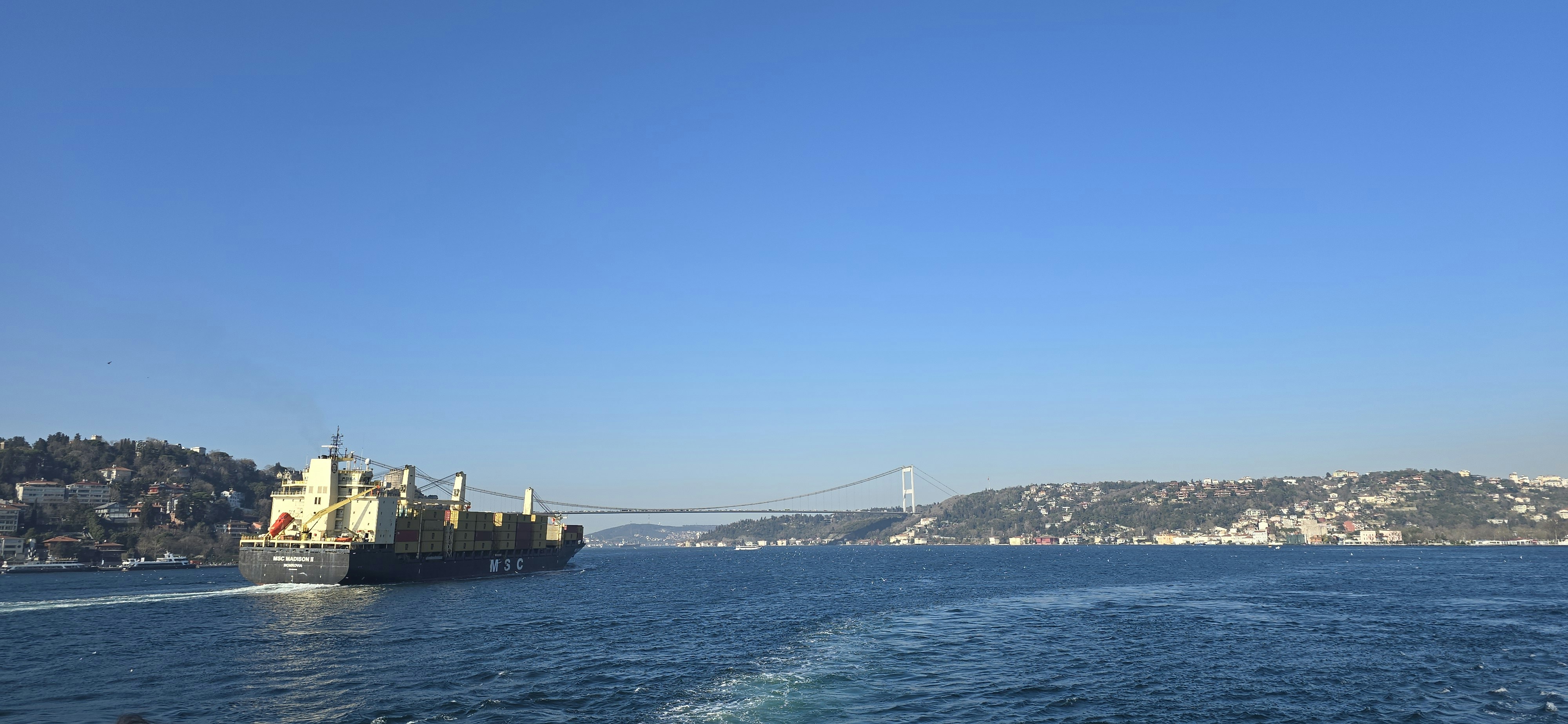 Photo by aliarjmandi