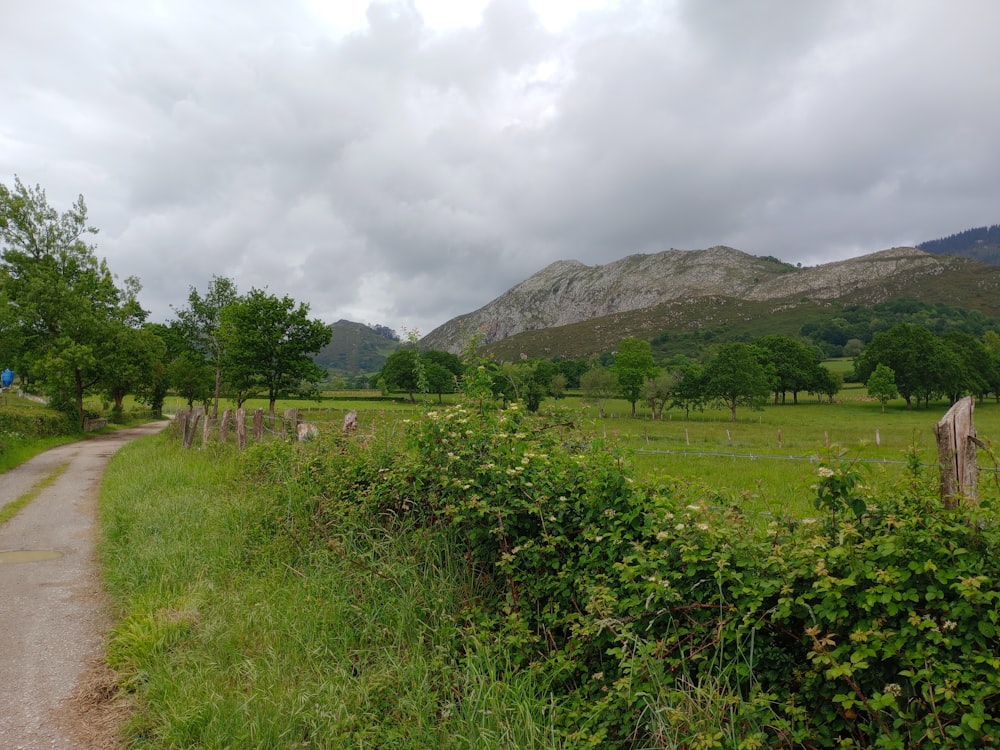 a dirt road surrounded by a lush green field