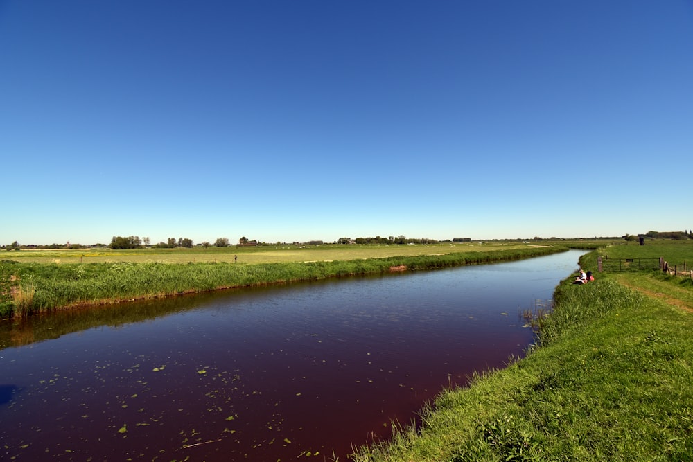 a river running through a lush green field