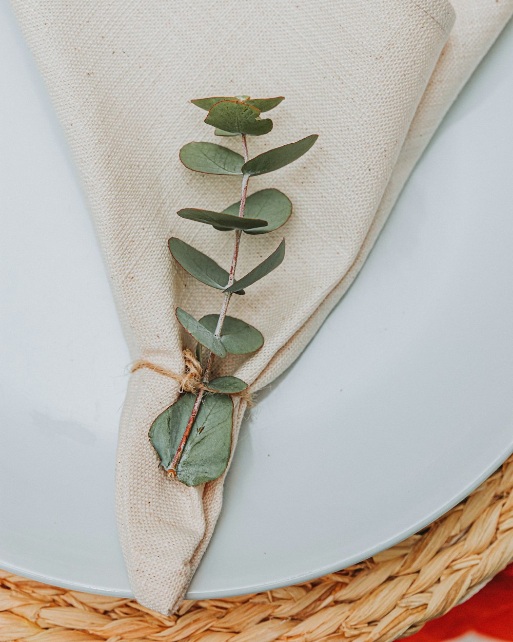 a white plate topped with a napkin and a green plant